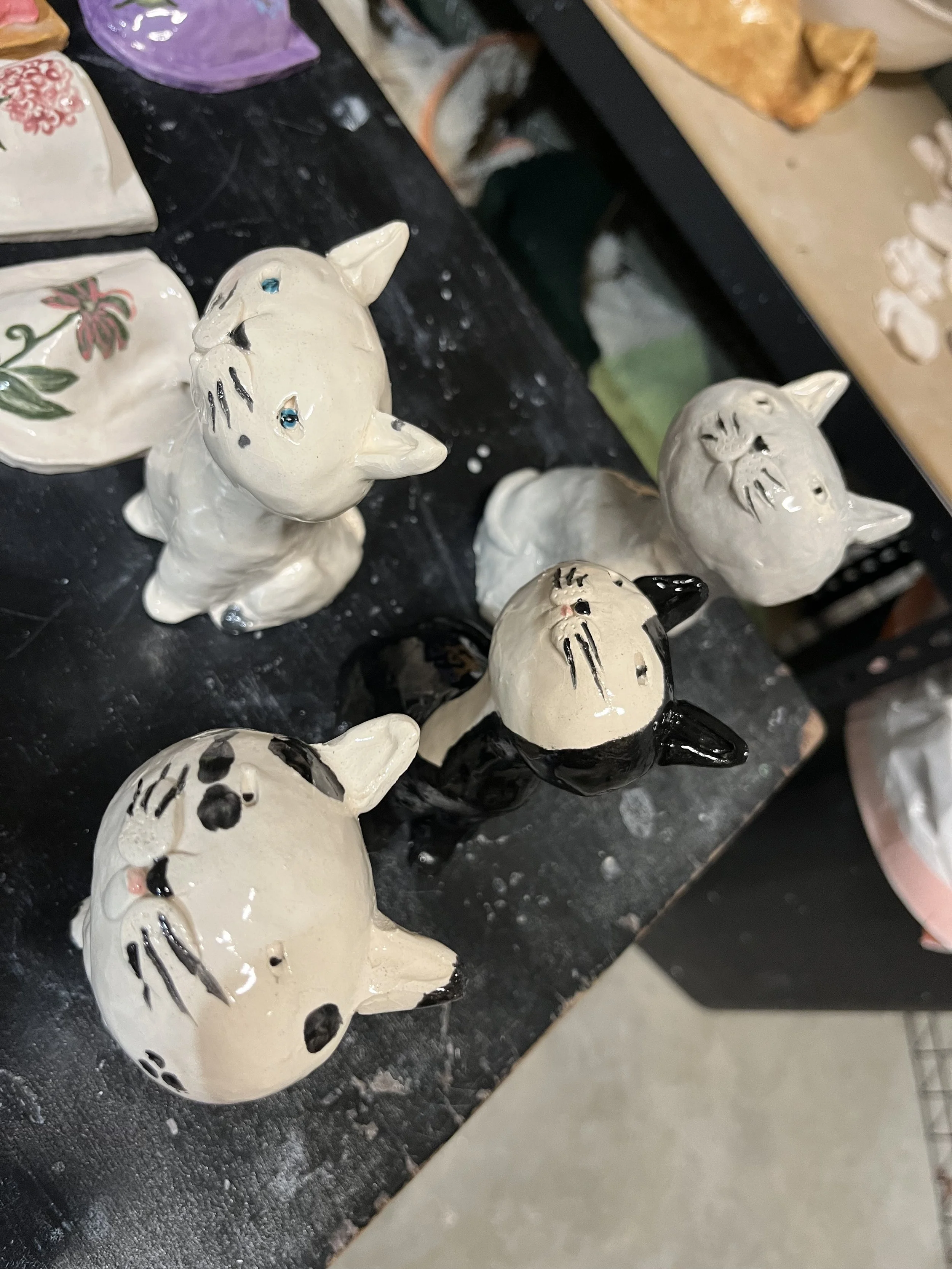IMG_1259.jpeg