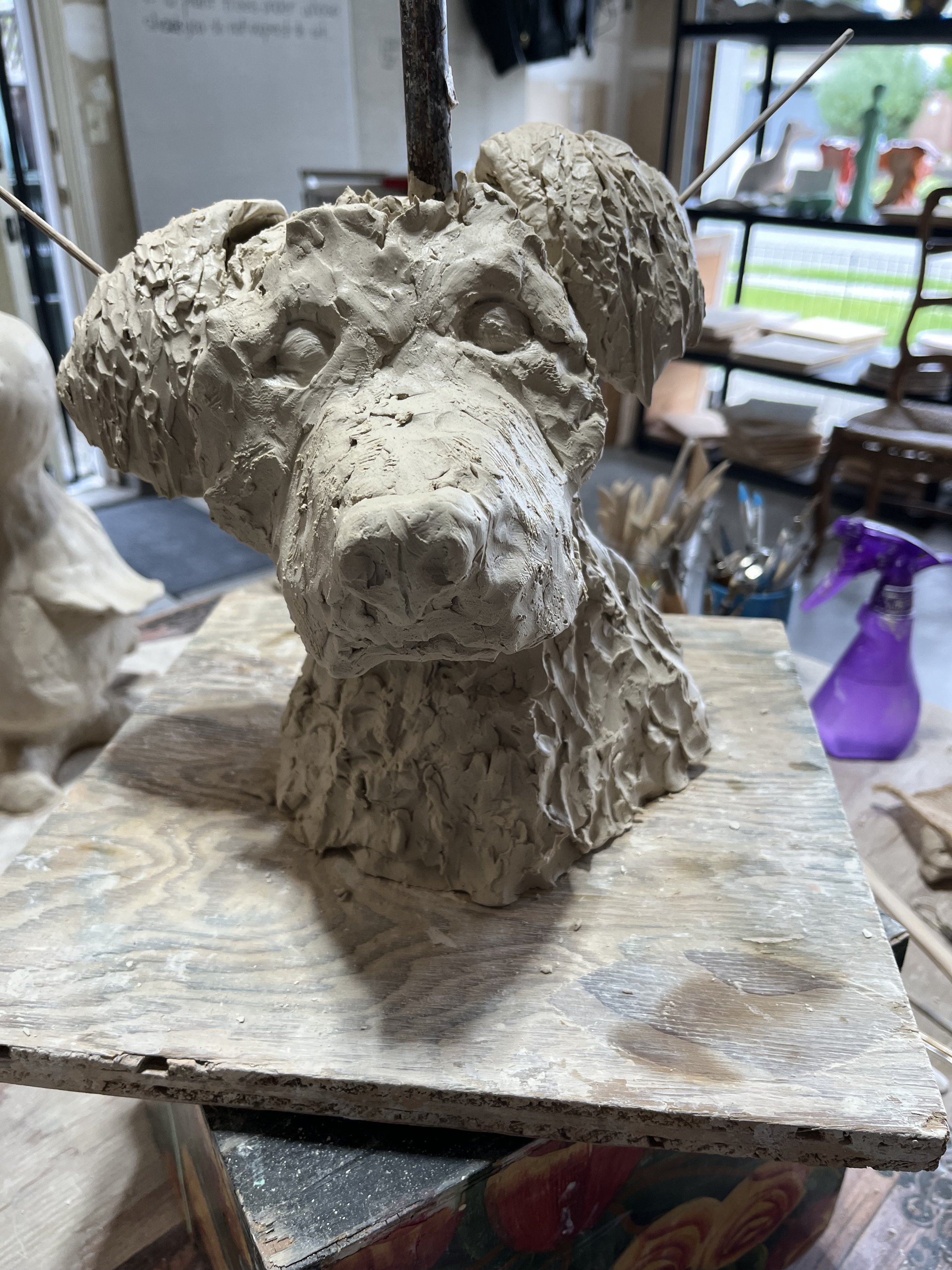 IMG_0050.jpeg
