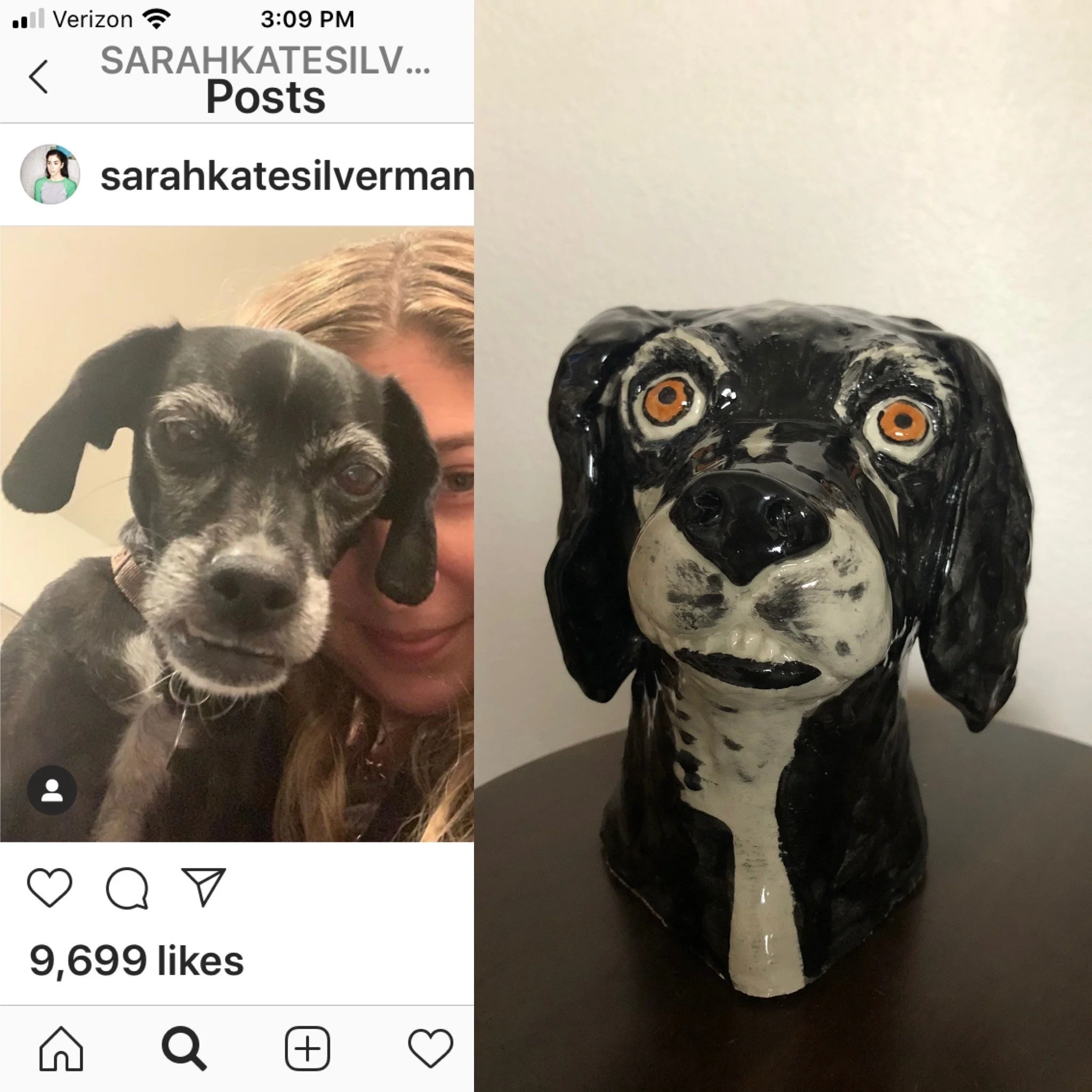 Dog Portraits and more