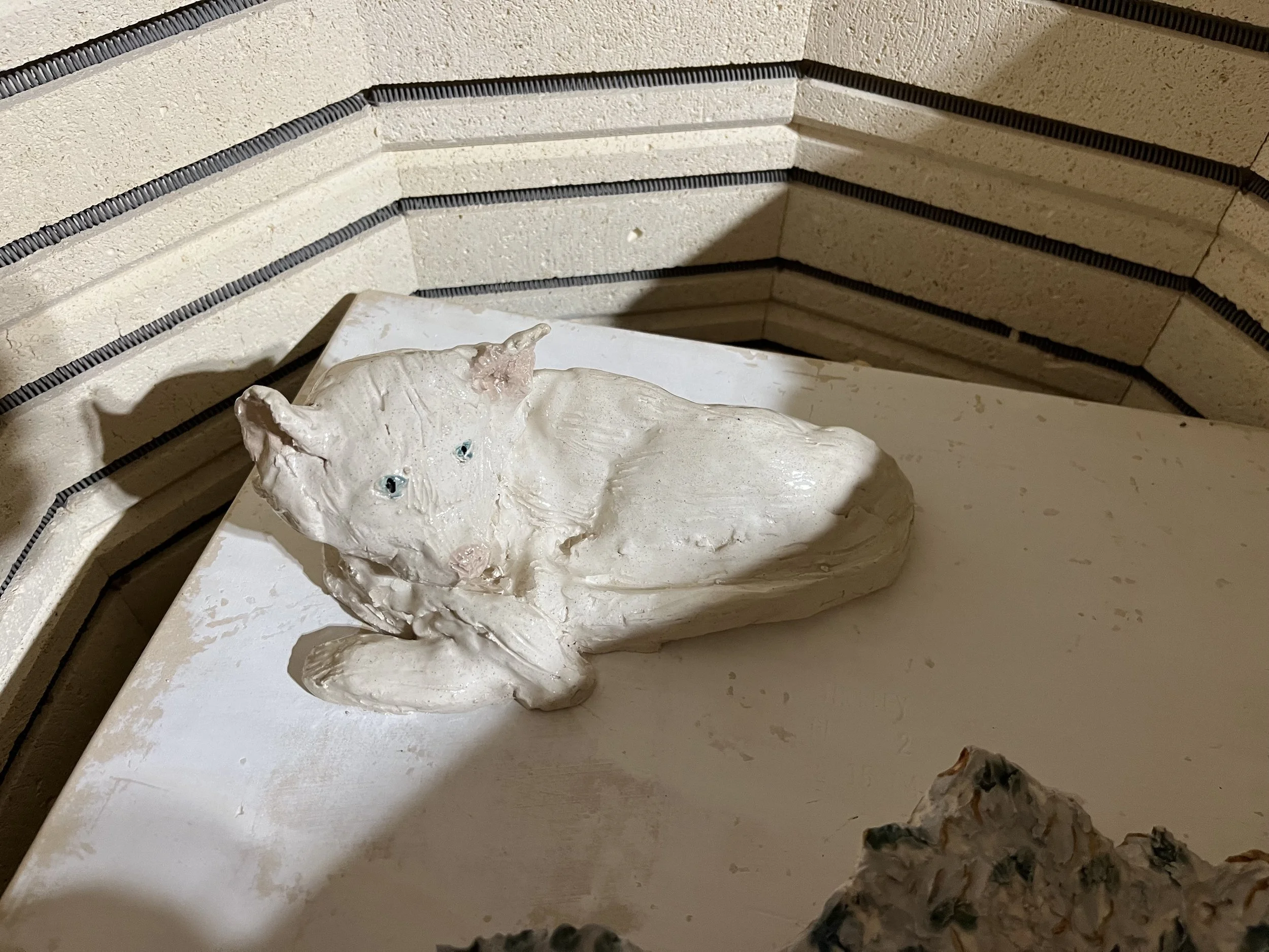 IMG_0432.jpeg