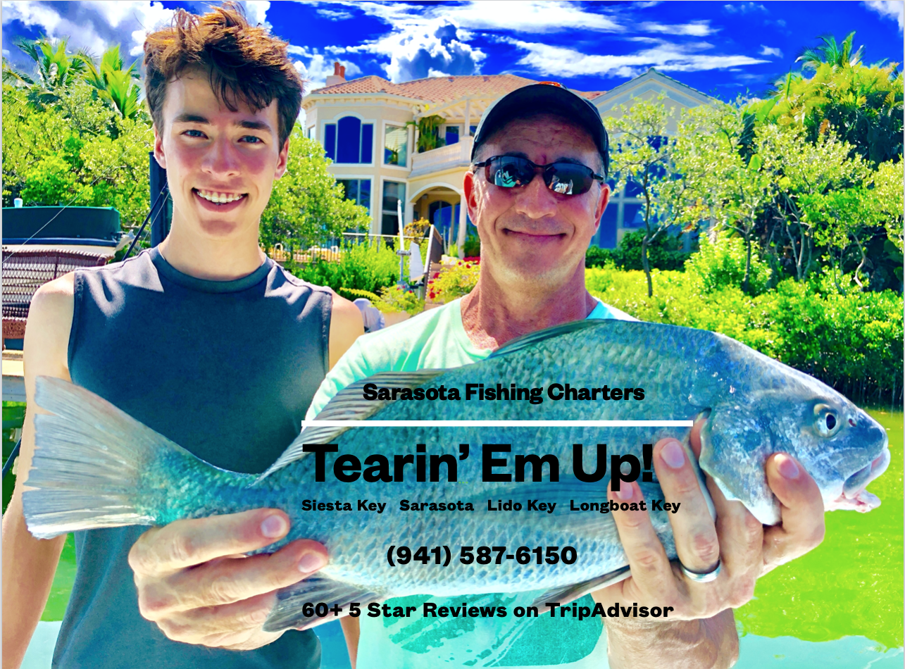 Tearin' Em Up! Family Fishing Sarasota (941) 587-6150 BLASCKDRUM.png