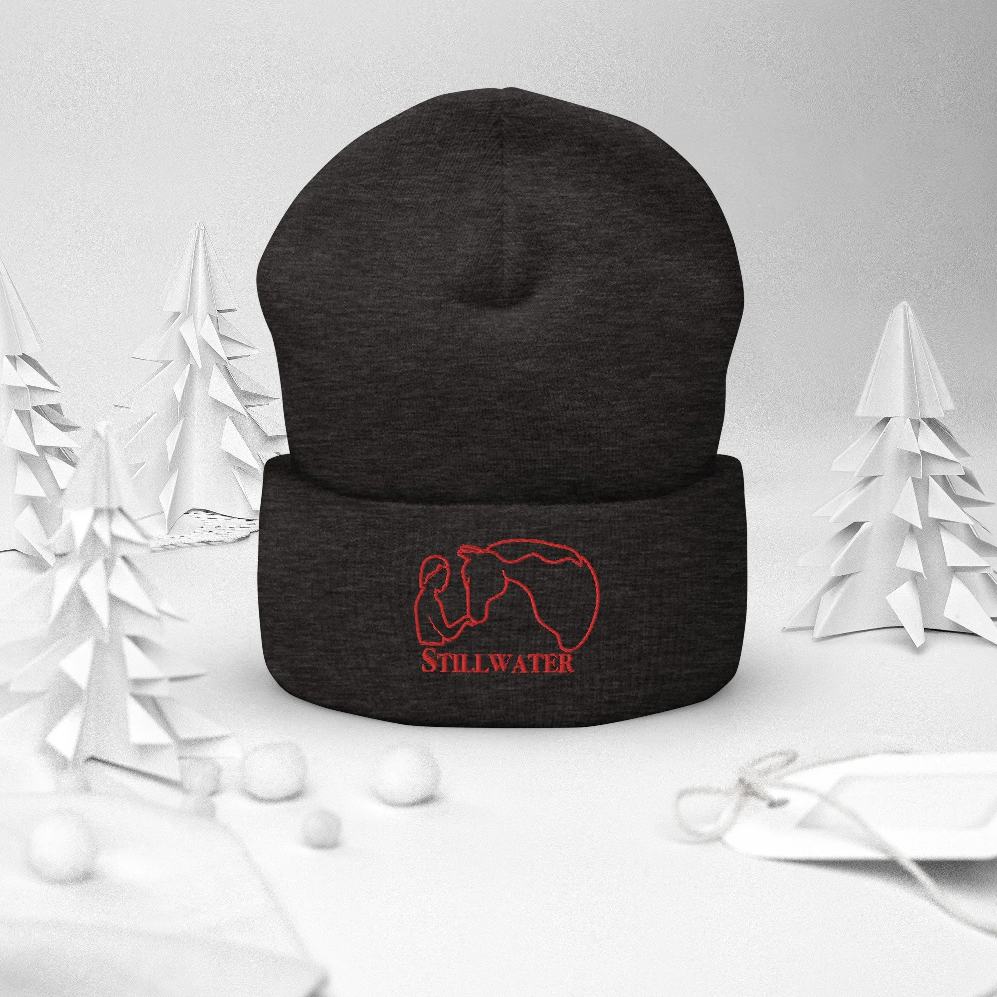 cuffed-beanie-dark-grey-front-2-66fc47553e9a0.jpg