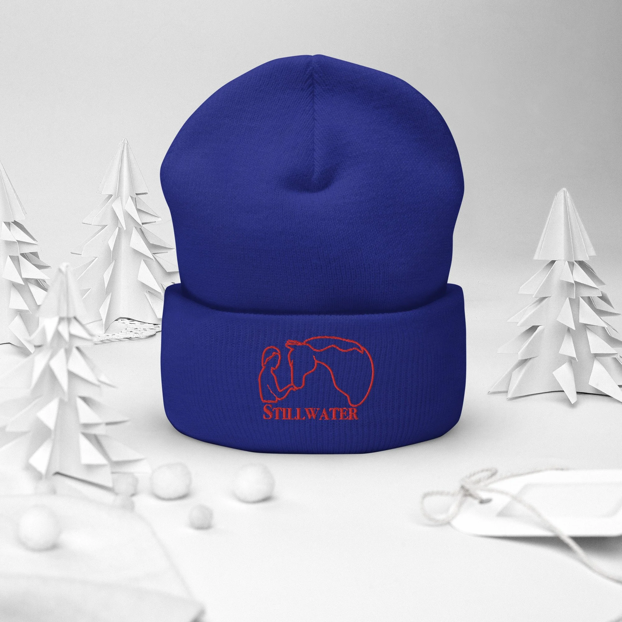 cuffed-beanie-royal-front-2-66fc47553eb8c.jpg