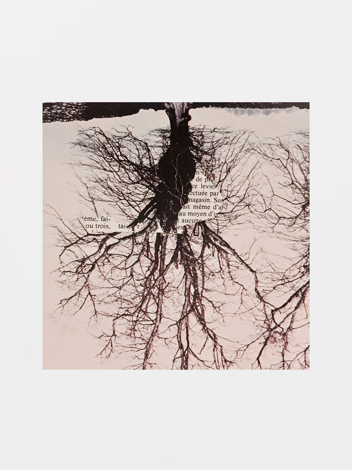 Print collage #4 | Claire Seppecher