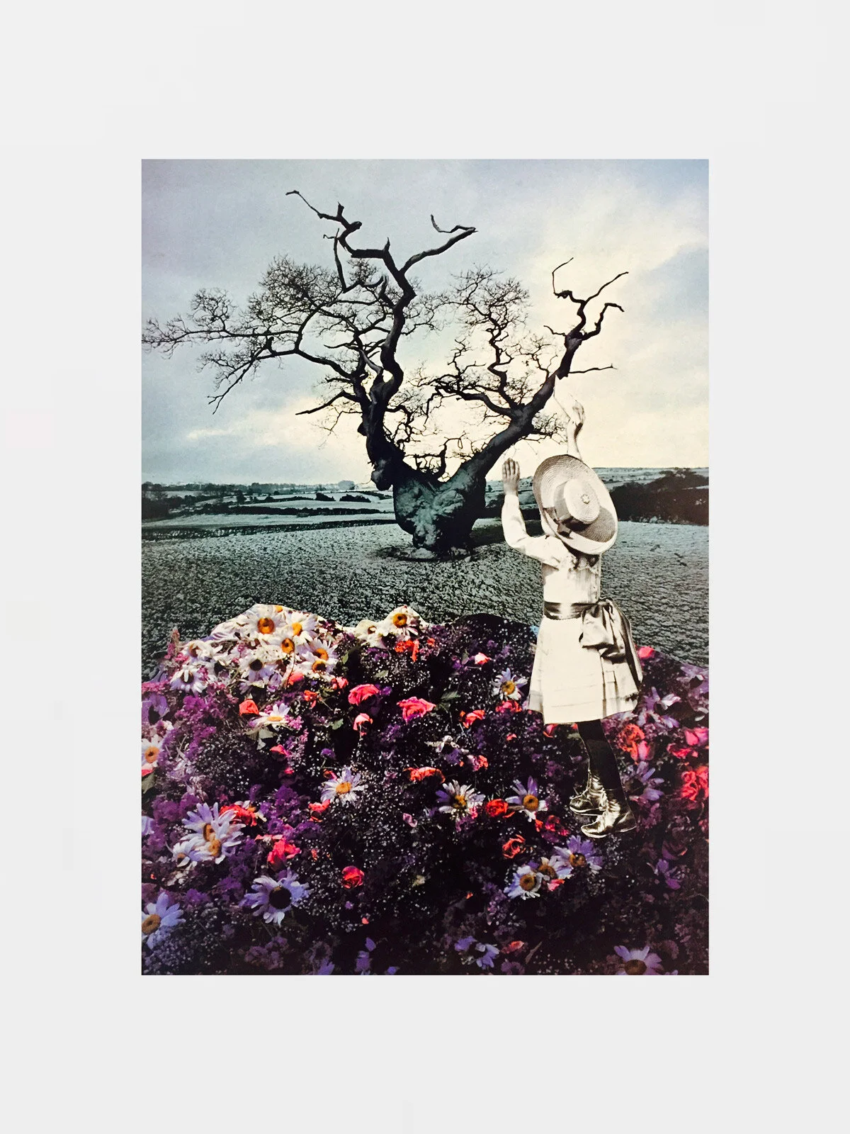 Print collage #5 | Claire Seppecher