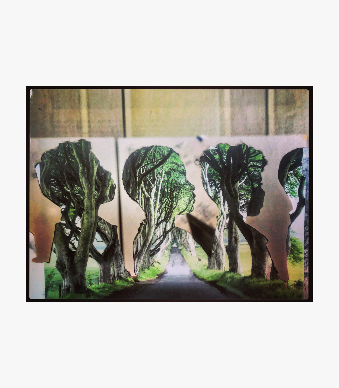 Print Collage #21 I Claire Seppecher