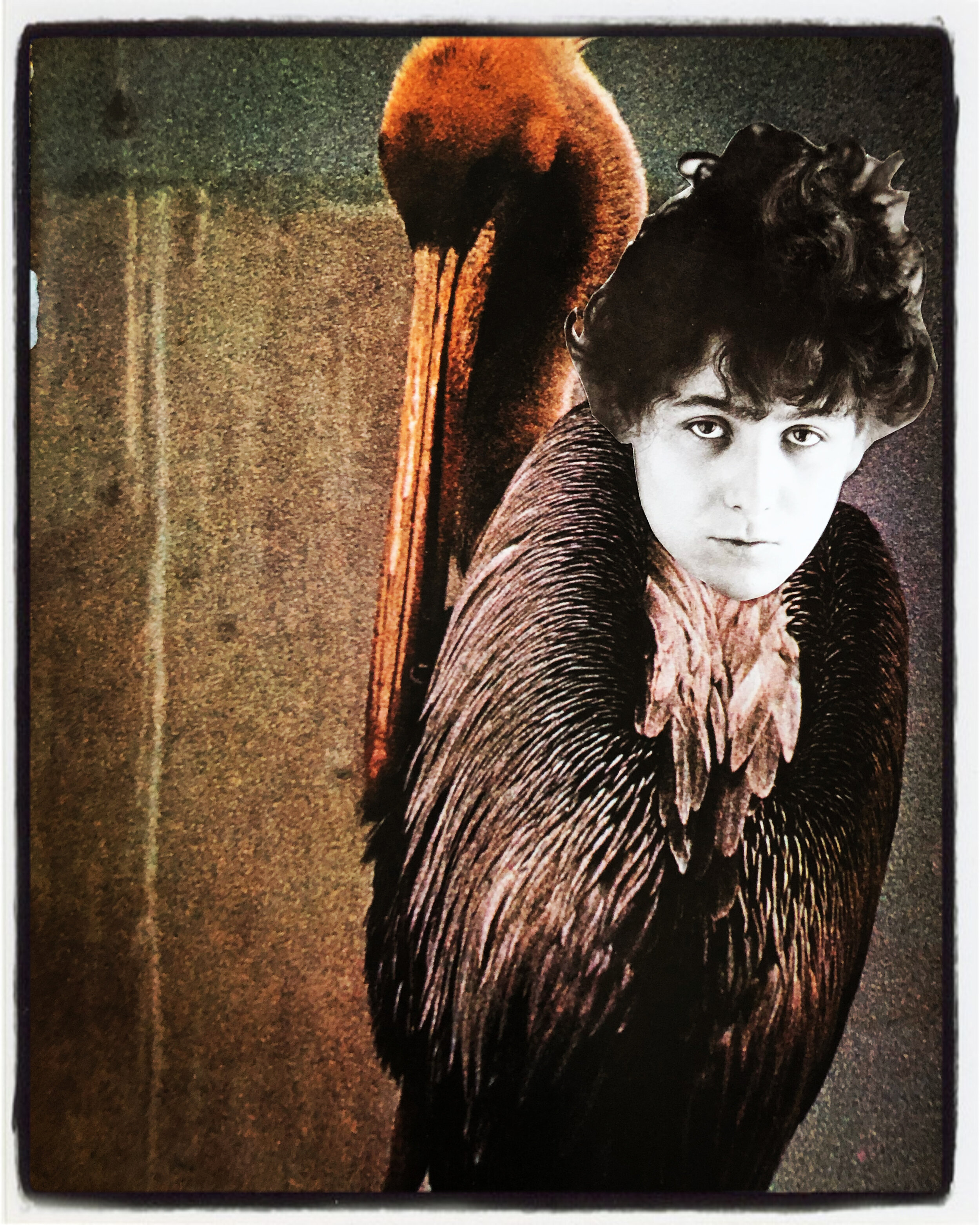 Collage original #46 | Claire Seppecher