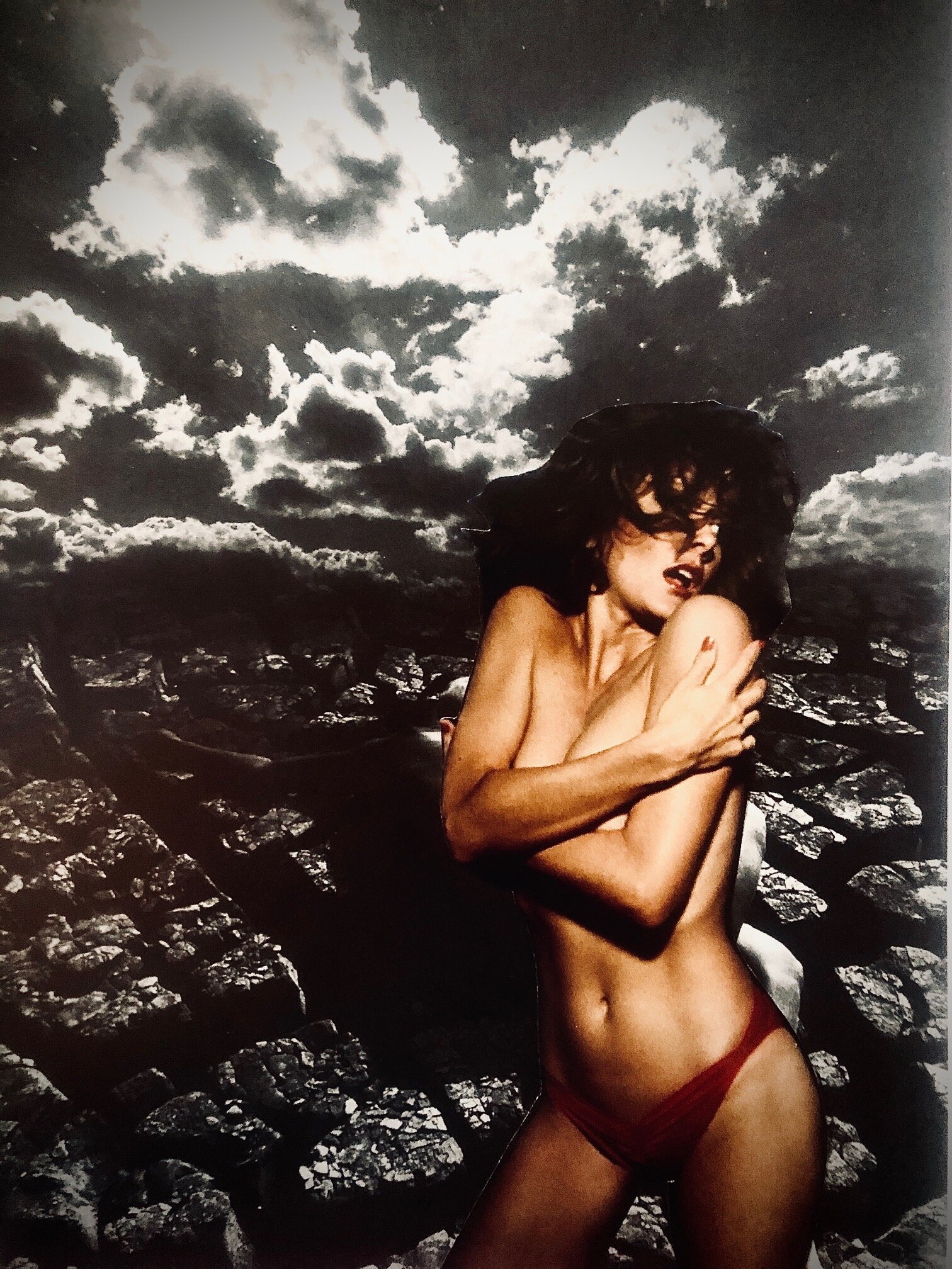 Collage original #48 | Claire Seppecher