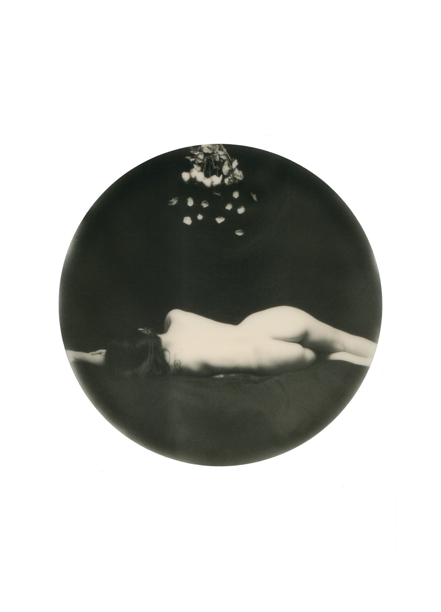 Photographie #8 | Vincent Ducard