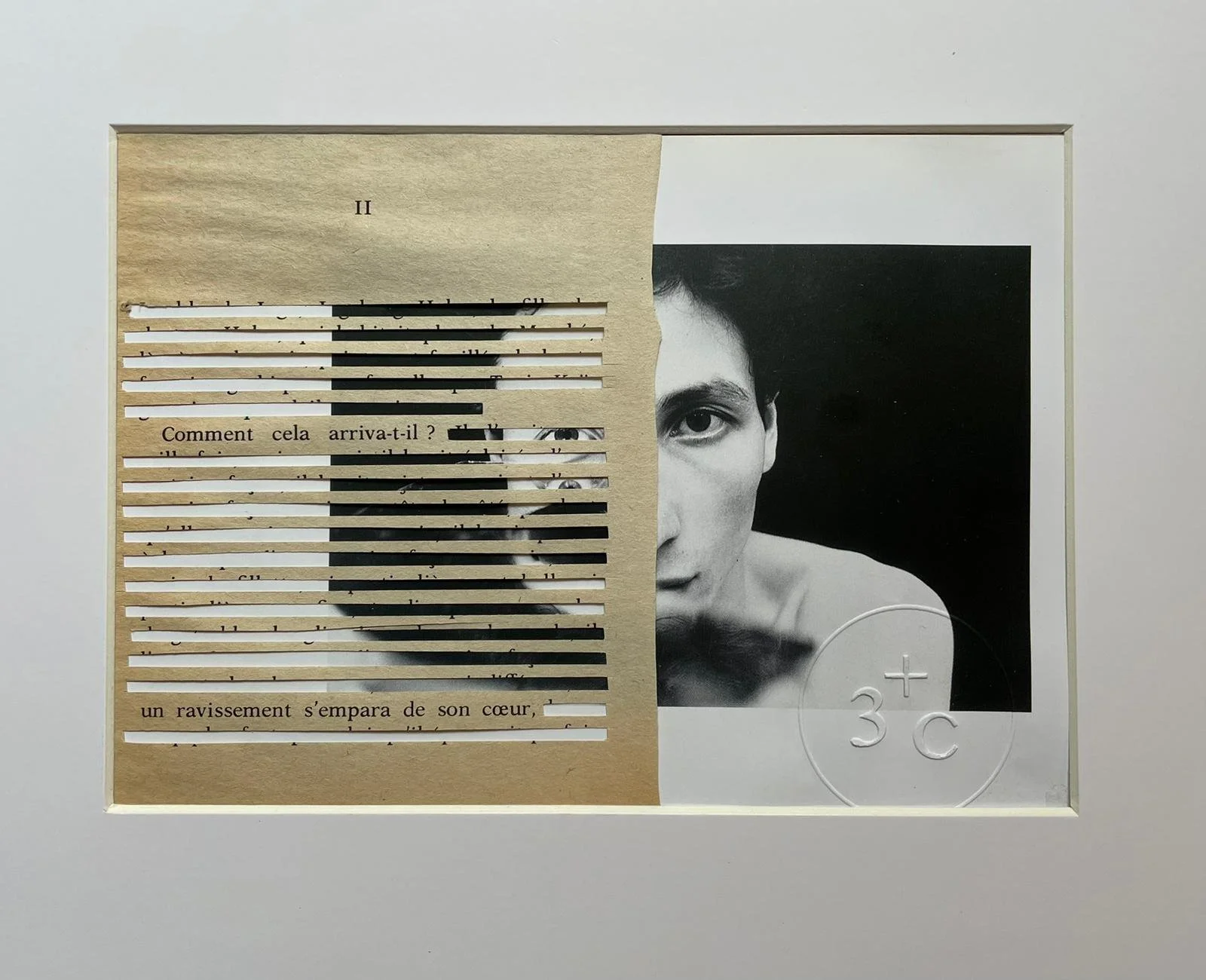 Collage caviardage #20 / 3+C