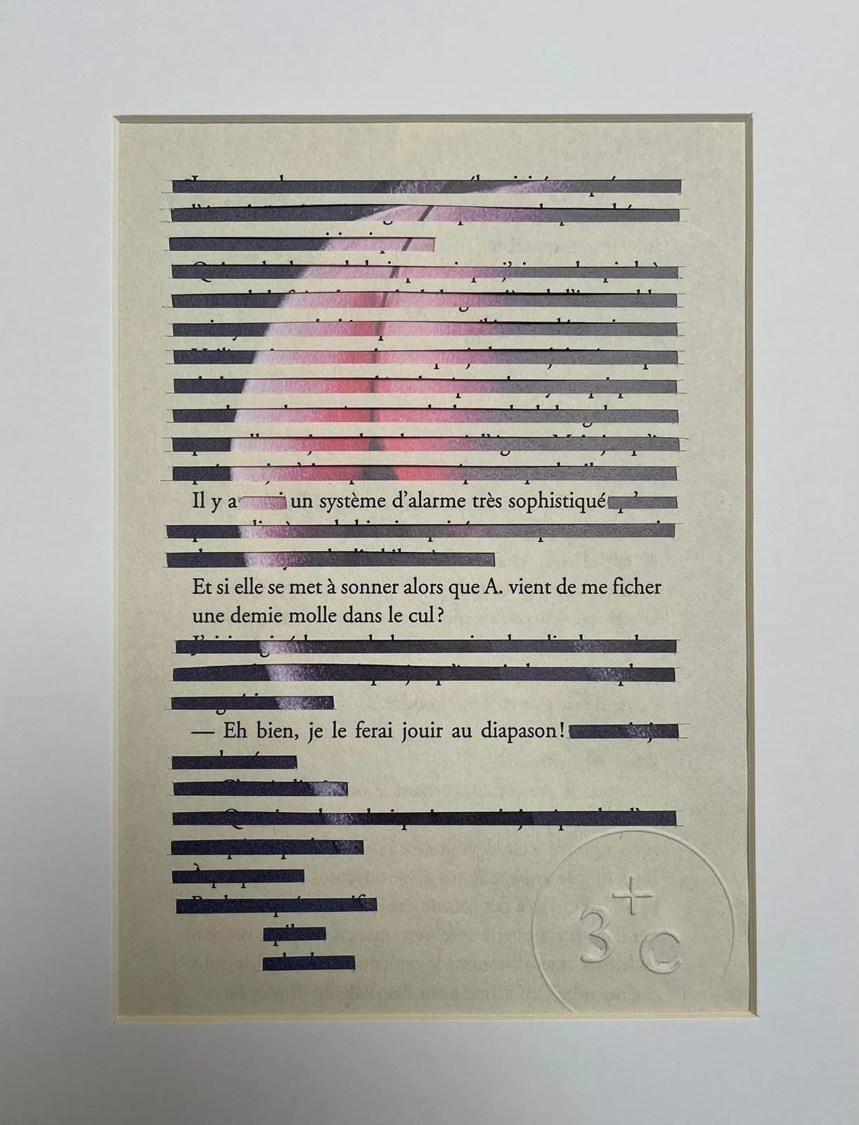 Collage caviardage #21 / 3+C