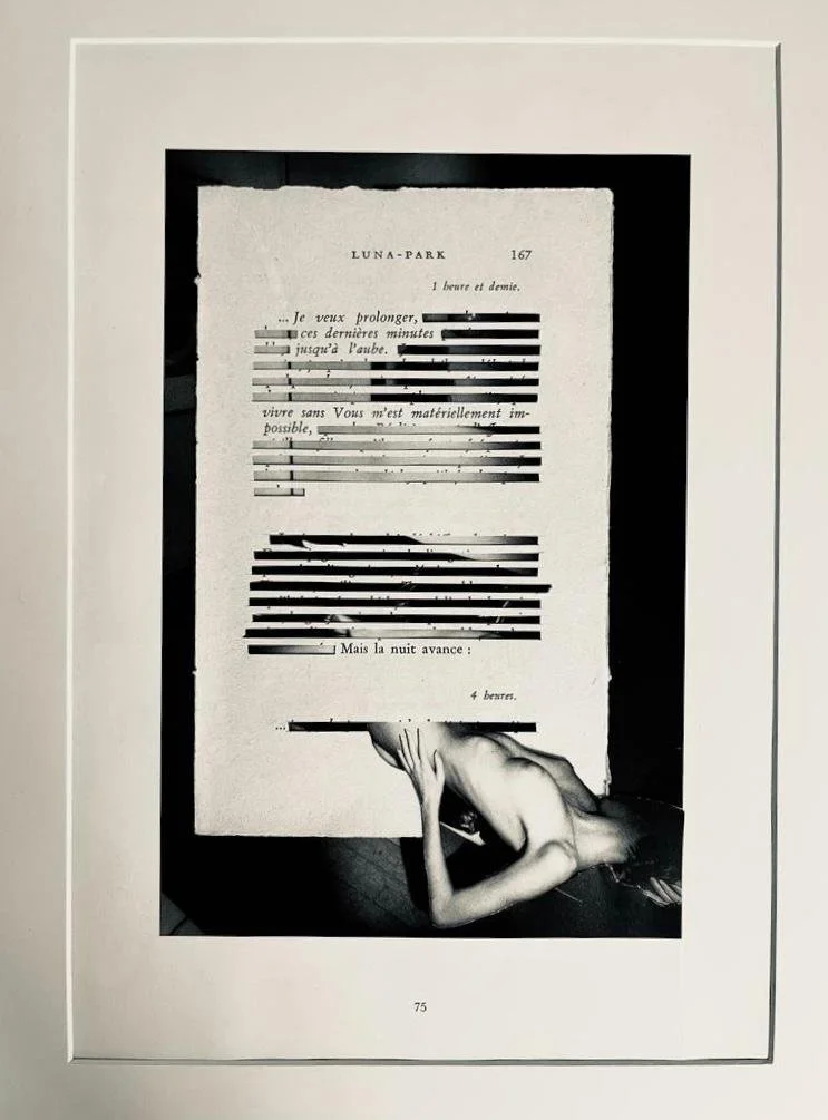 Collage caviardage #27 / 3+C