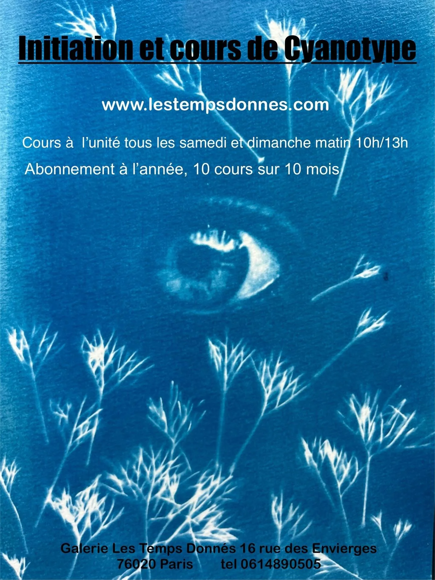 Depuis d&eacute;but 2026, les cours de Cyanotype ont repris &agrave; la galerie Les temps donn&eacute;s !!
Vous pouvez trouver les disponibilit&eacute;s de cr&eacute;neaux sur le site internet, les temps donn&eacute;s.com, nous vous proposons un cour