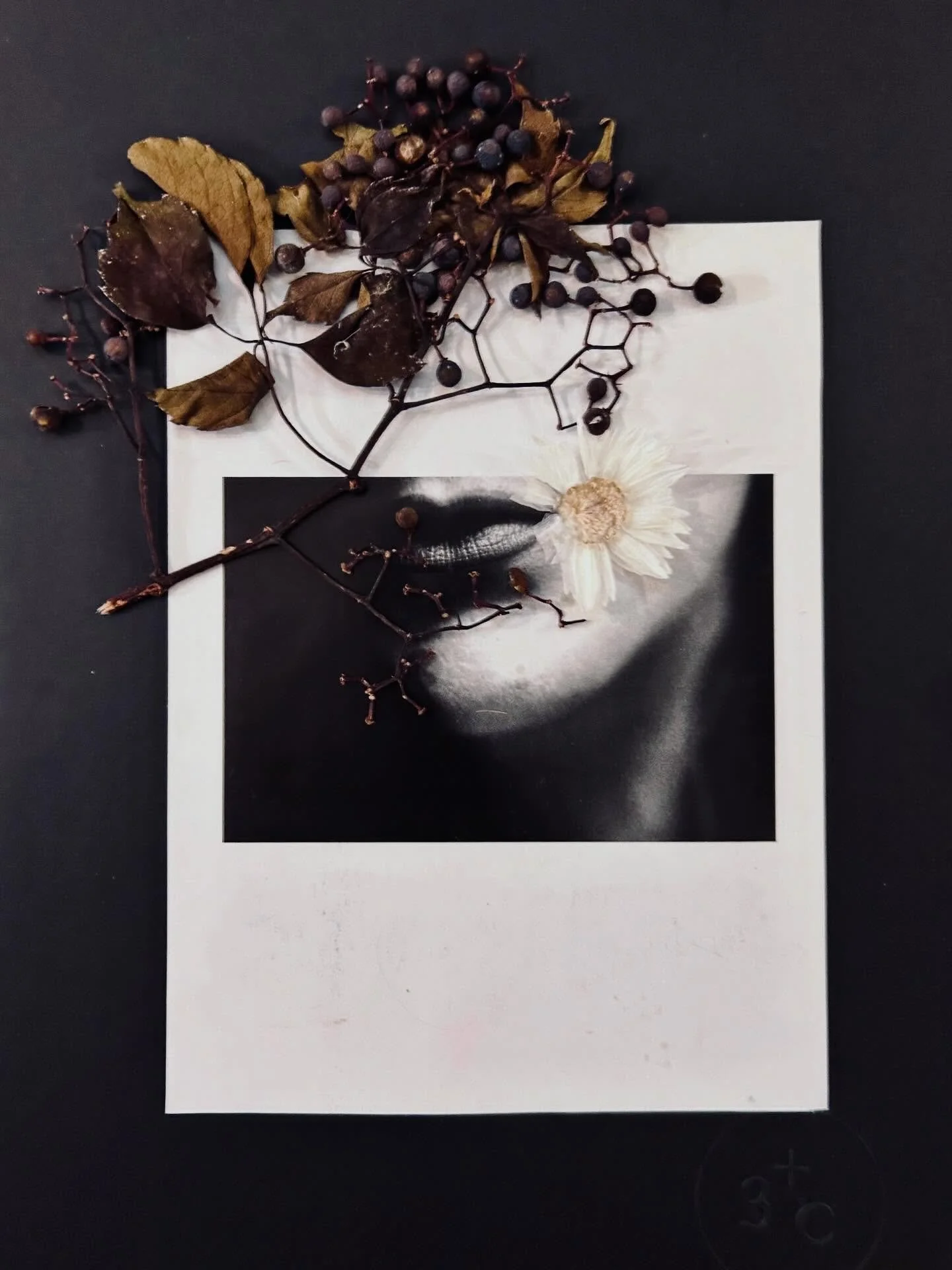 Work in progress par @3_plus_c , disponible &agrave; la galerie !!
#collage #plantes #photo #galerieparis #belleville #lestempsdonn&eacute;s #galerielestempsdonnes #claireseppecher #claireseppecherphotographie #3plusc #galeriedartparis