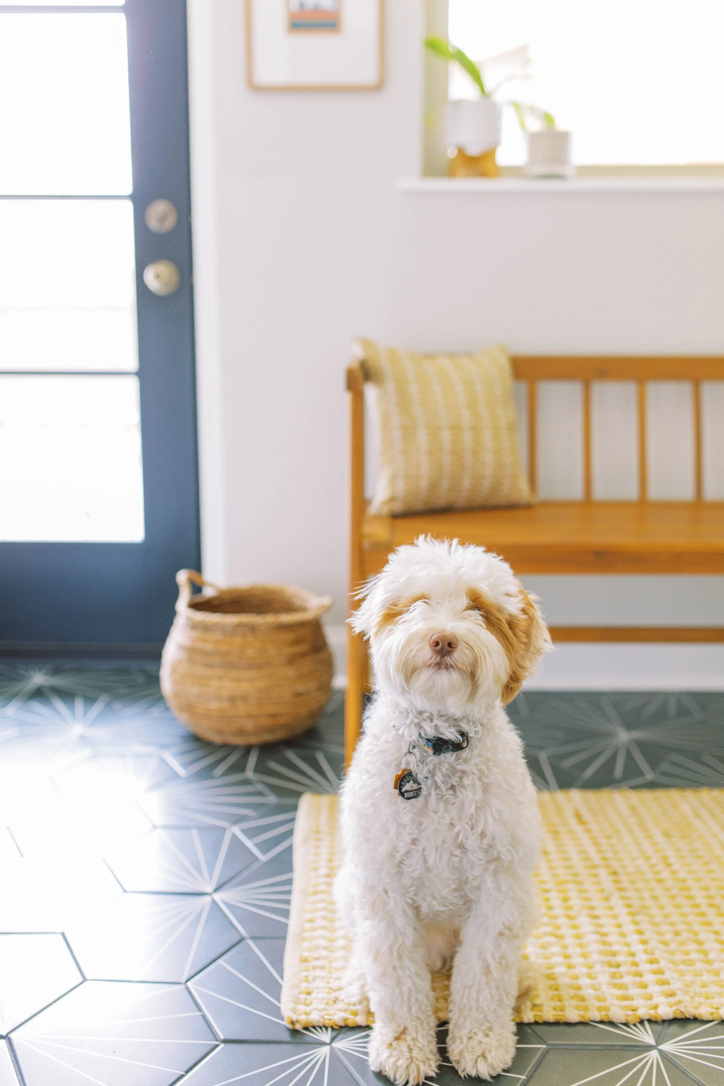 InteriorBloomsDesign_LaGrangePark_April_22(45of46).jpg