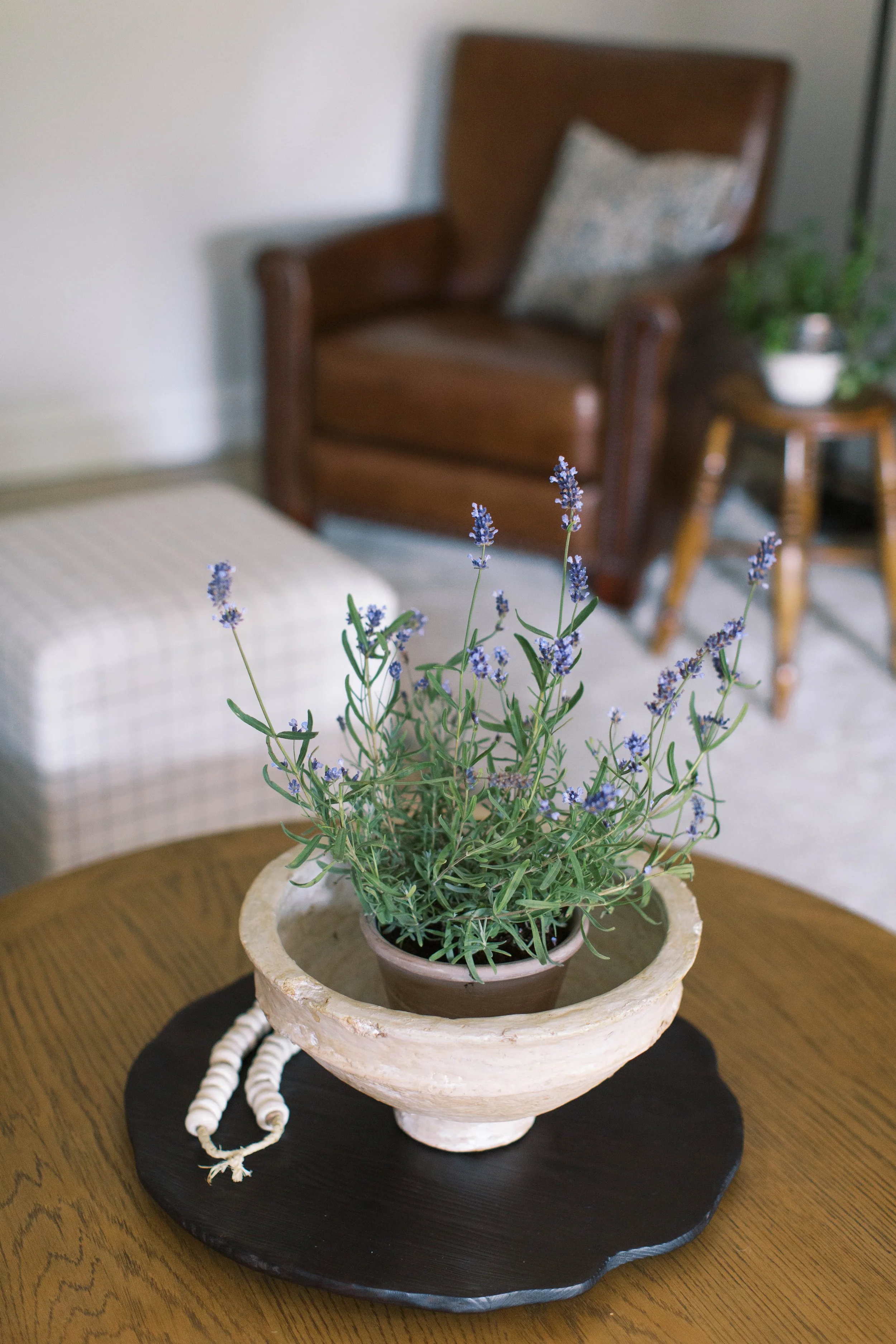 InteriorBloomsDesign-OakSt-Hinsdale(42of49).jpg