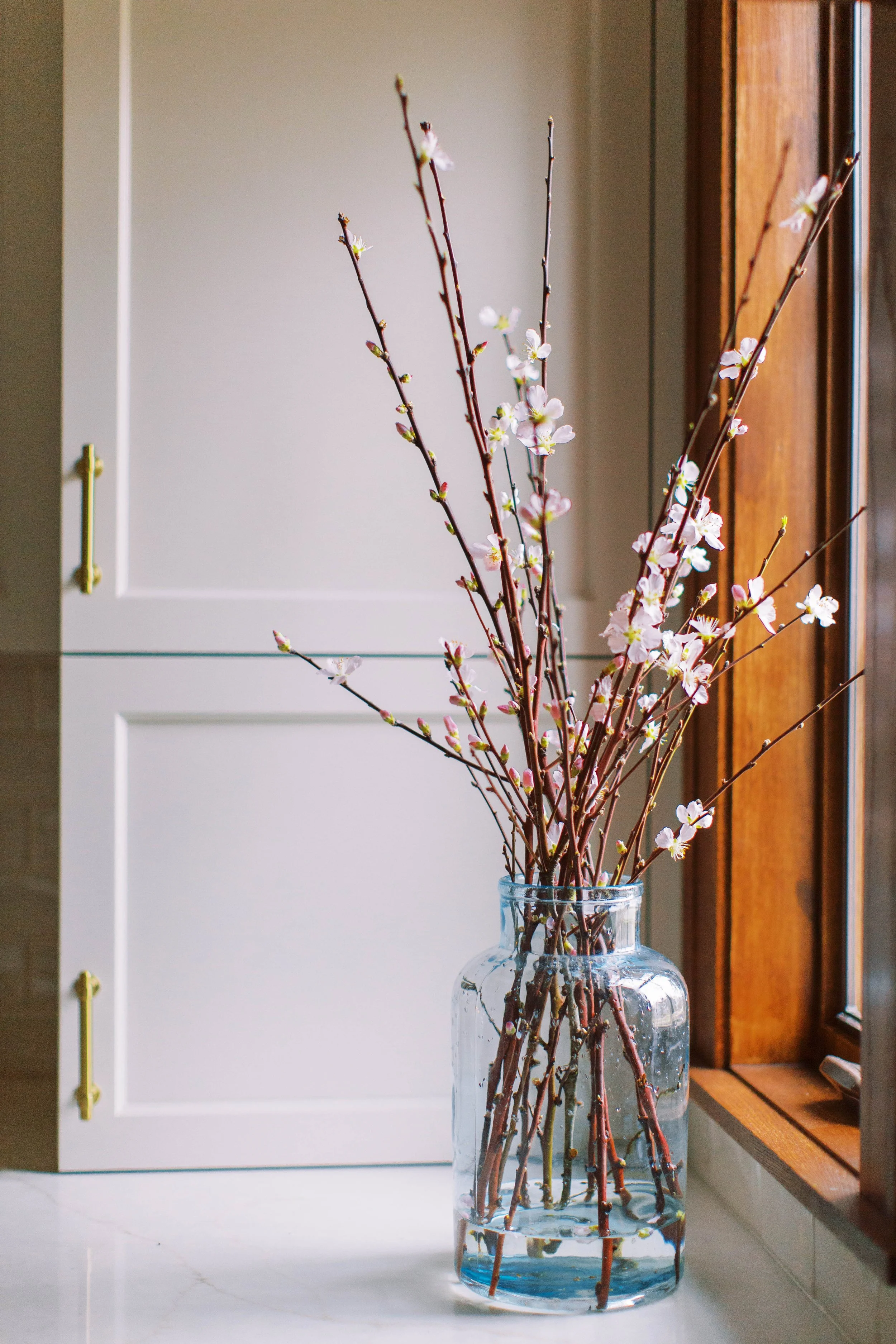 InteriorBloomsDesign_WesternSprings_2022(12of28).jpg