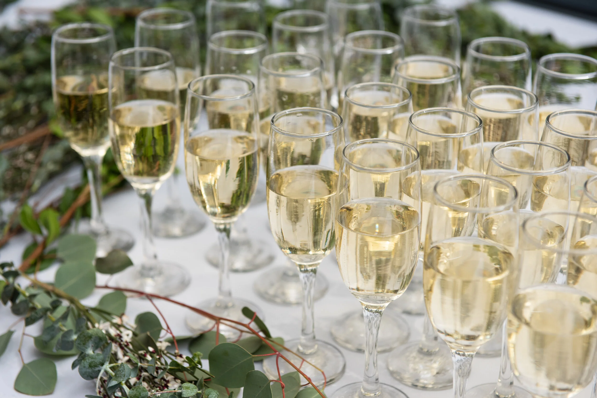 Food Experiences Corporate Team Experiences Black Chefs Team Events