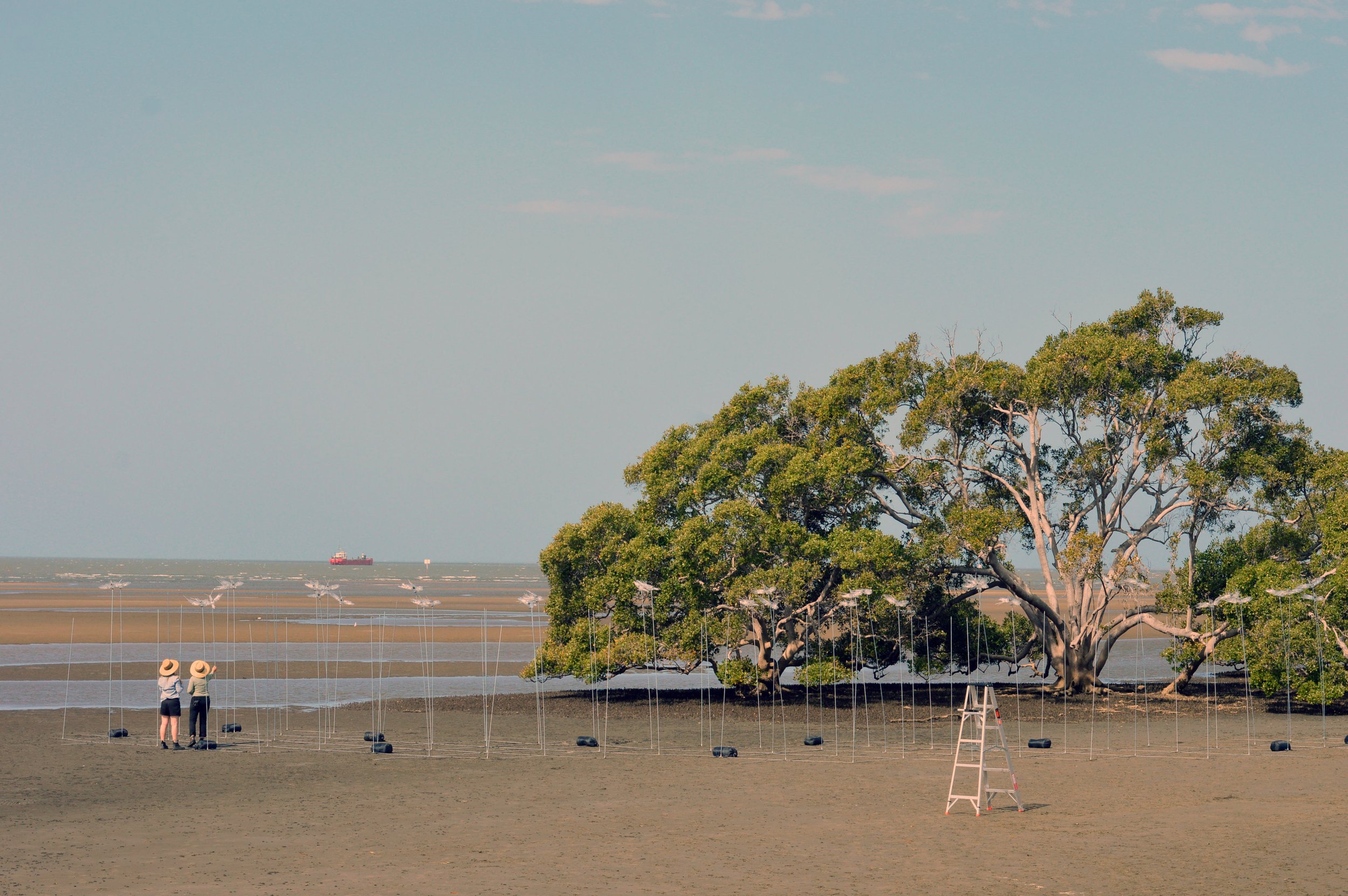 FLOCK Nudgee 1.jpg