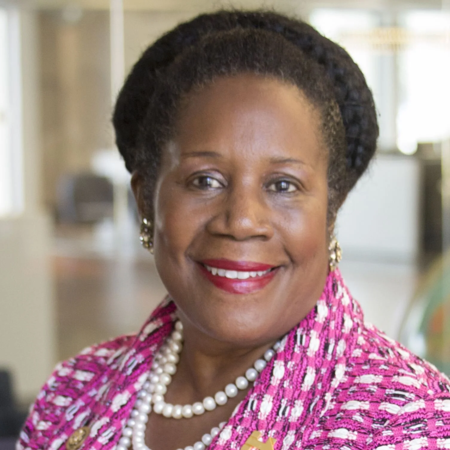 SheilaJacksonLeeCrop.jpeg