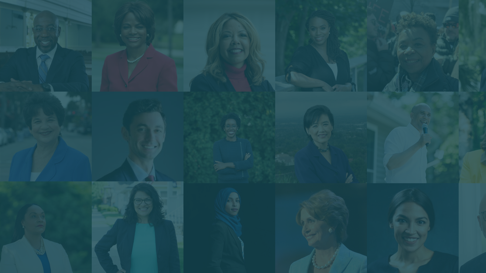 Overview of NOW PAC's 2020 Winning Candidates