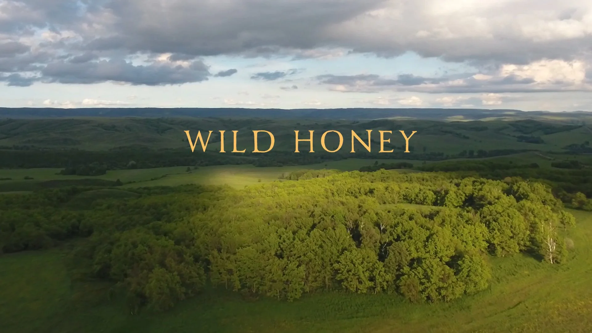 WildHoney_titlecard.jpg