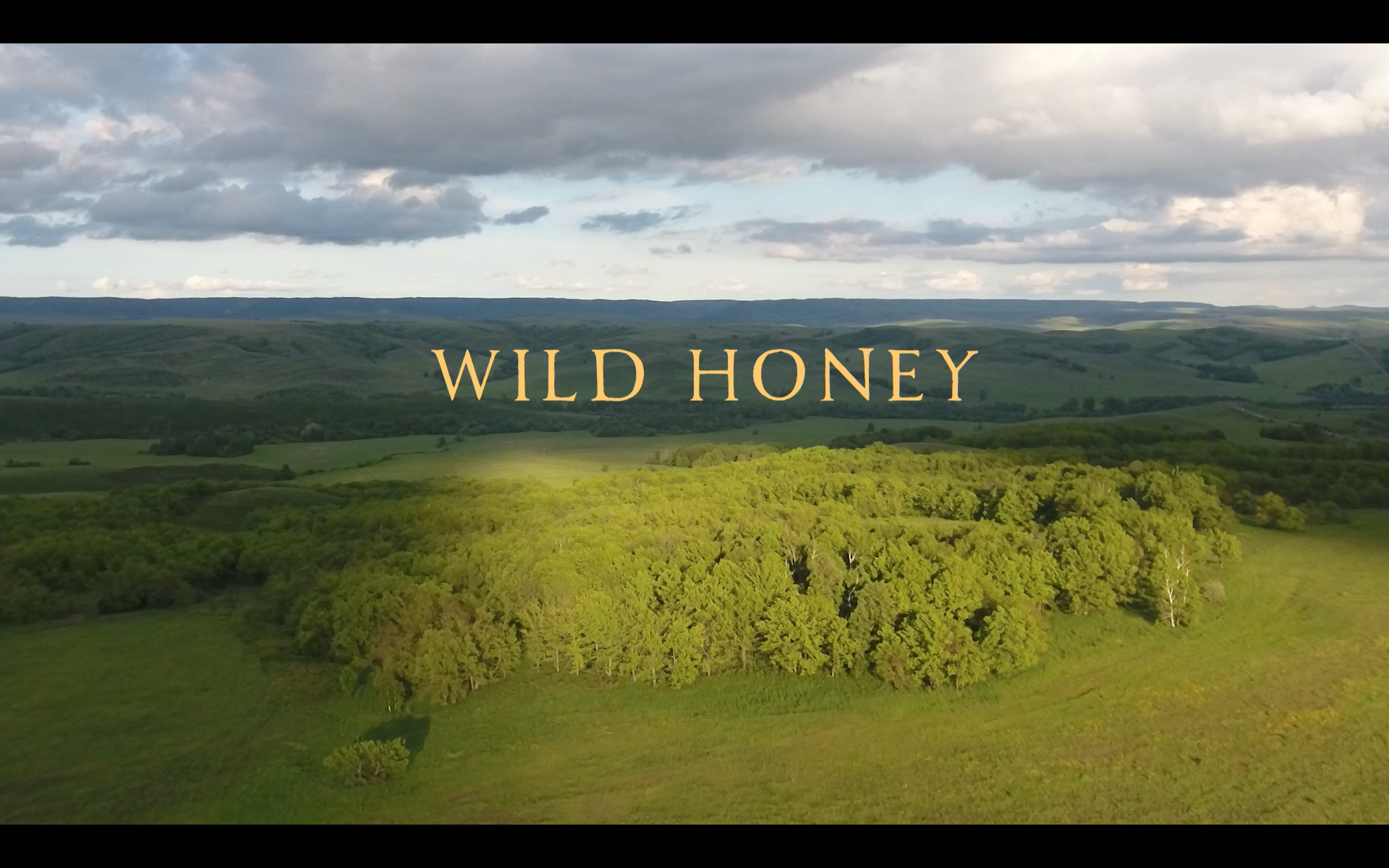 Screen Shot 2026-01-06 at 3.22.17 PM.png