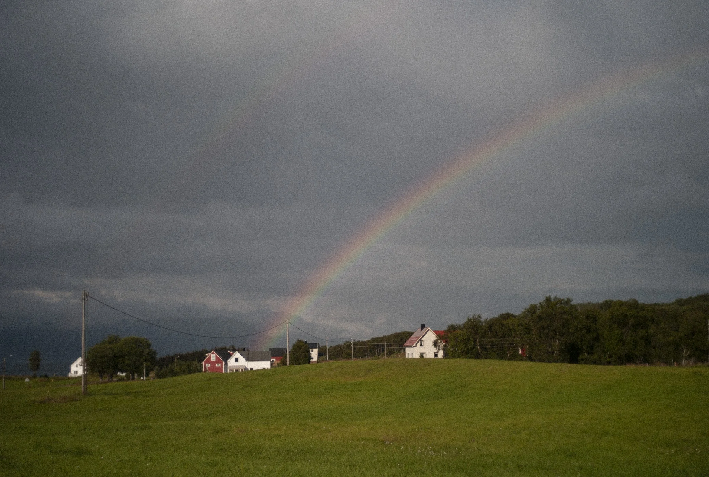 L1496673.JPG