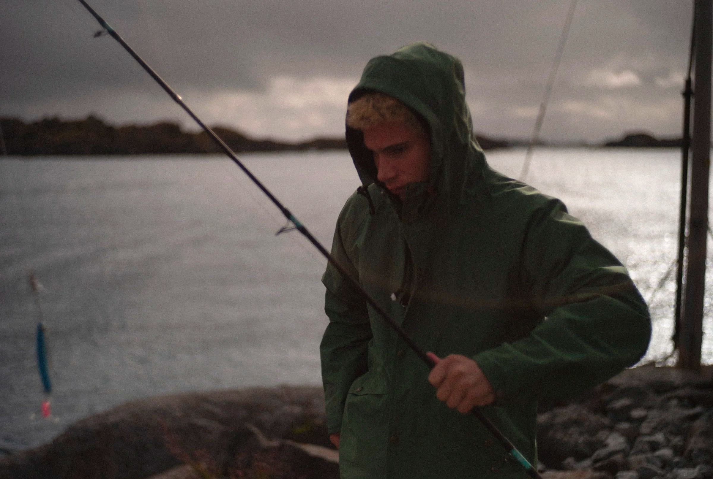 L1498194.png