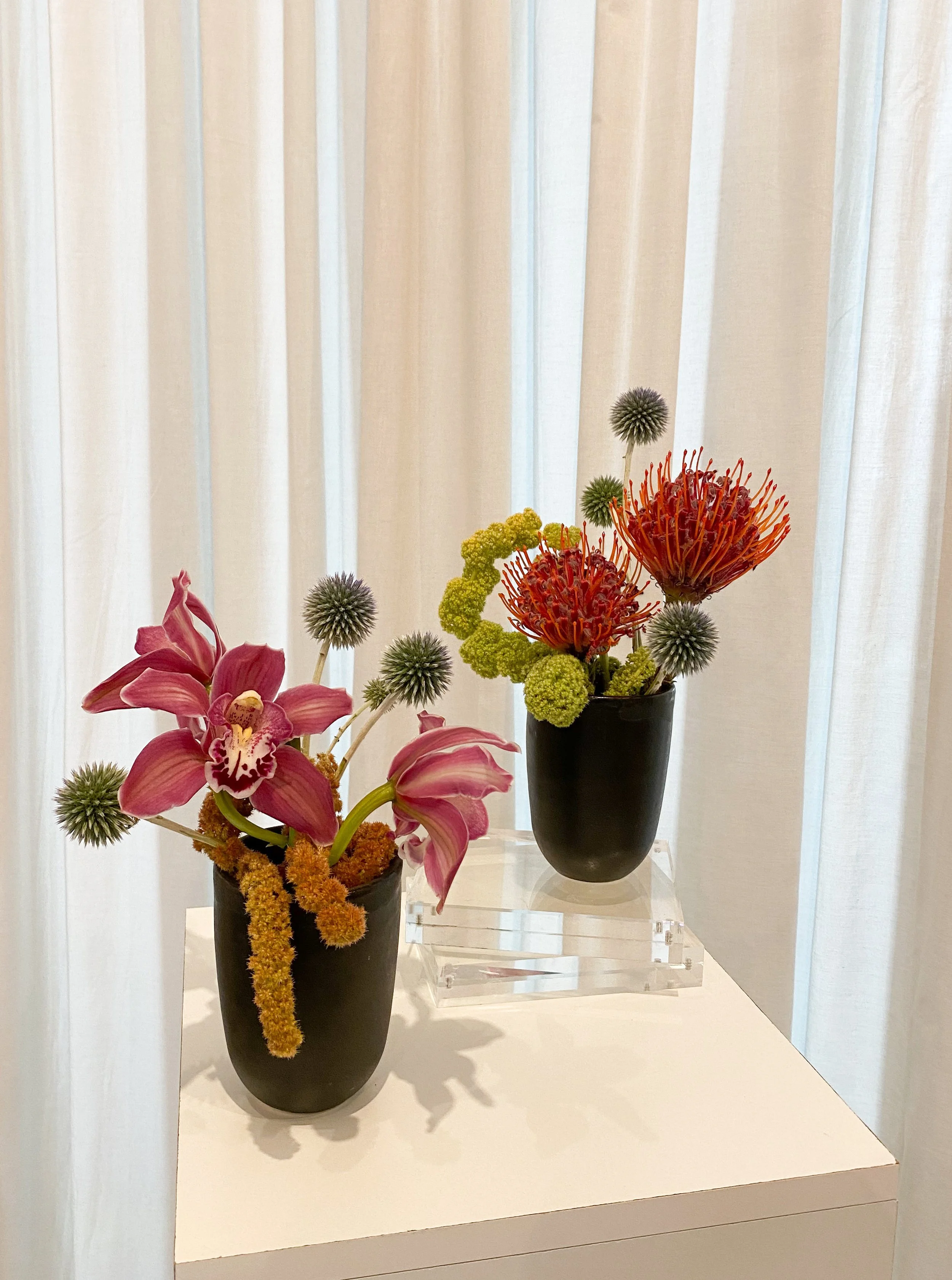 C4C8BA0D-4FBF-41C3-A5BA-71DA8275B529 2.JPEG