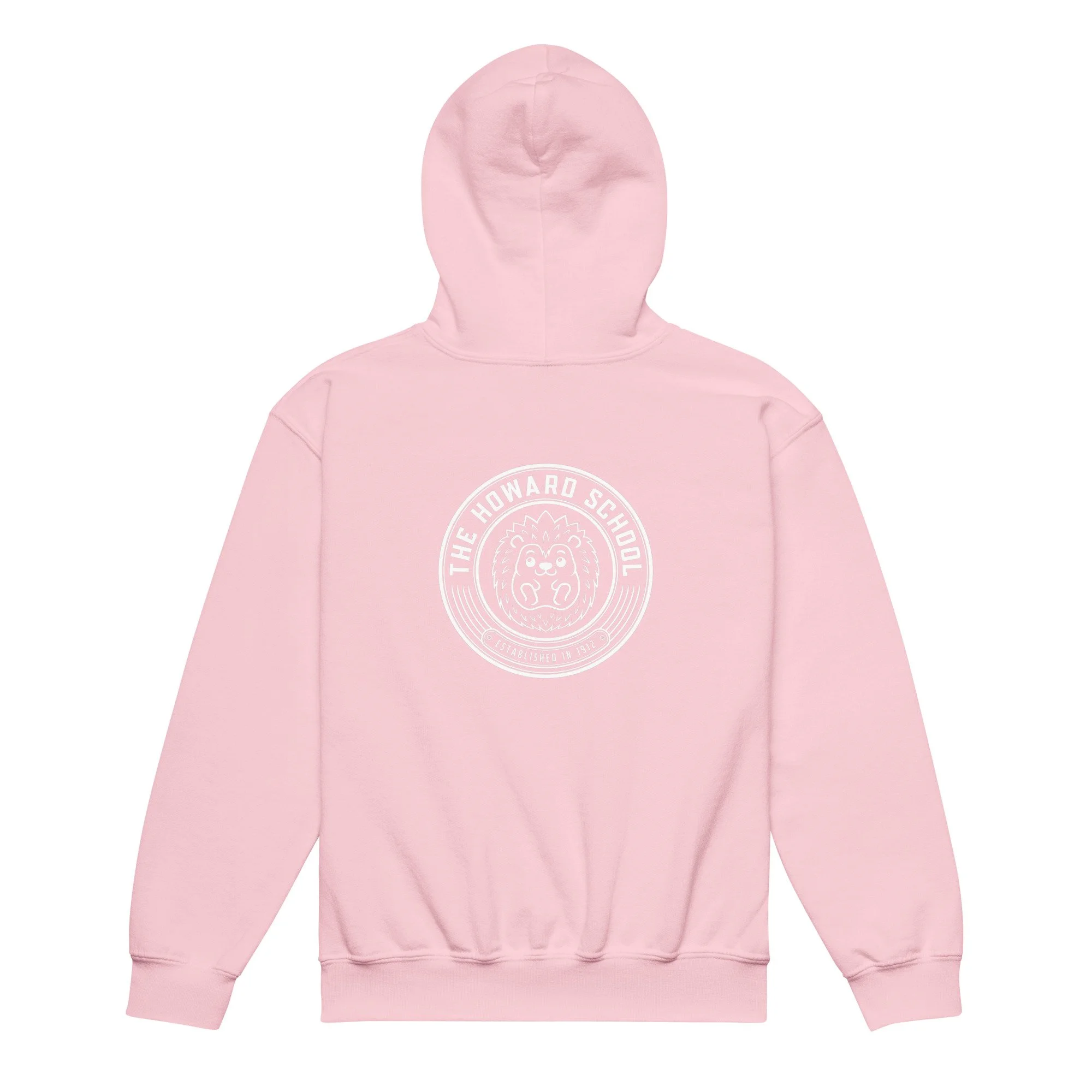 youth-heavy-blend-hoodie-light-pink-back-69d8139f2593e.jpg