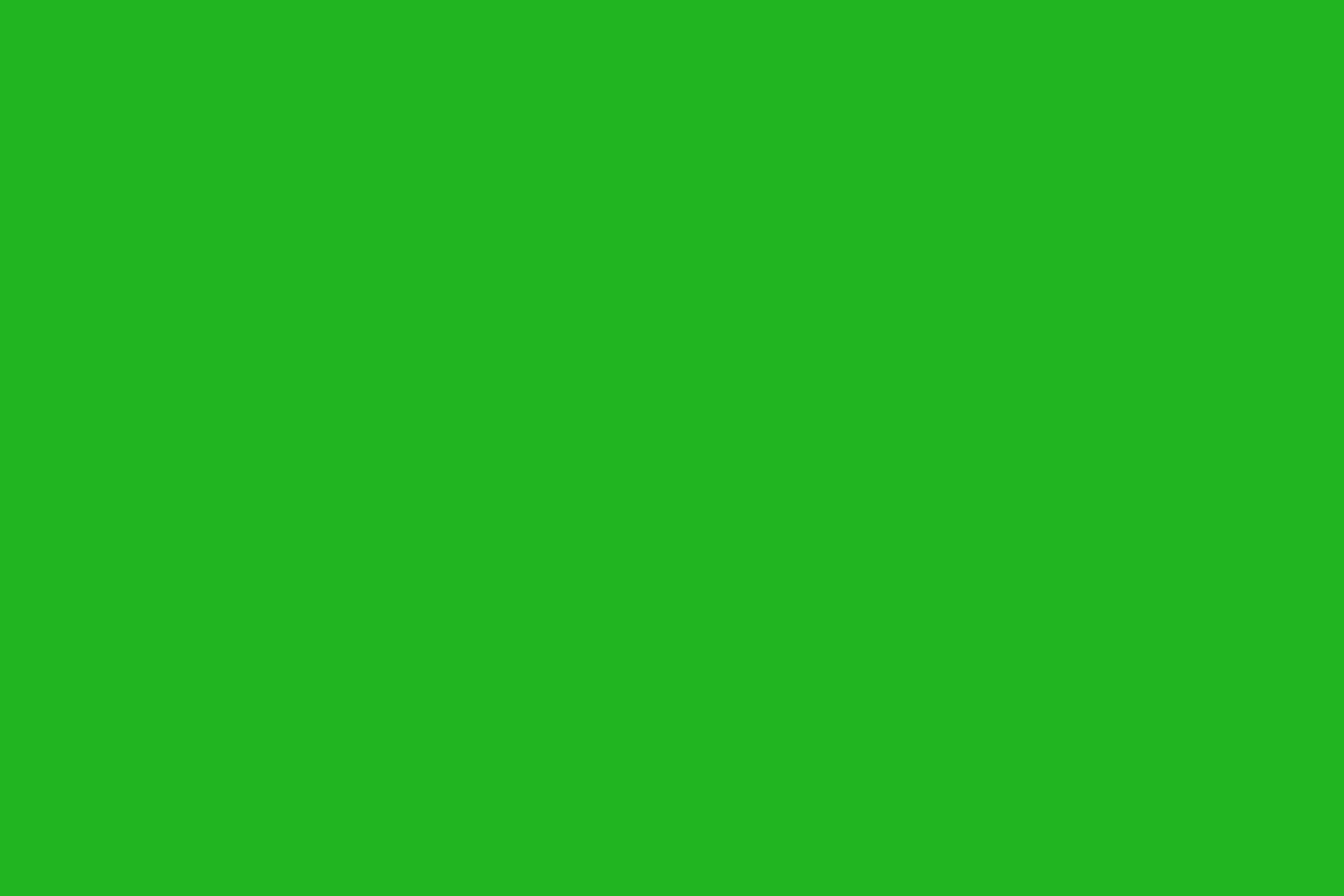 Bright Green.png