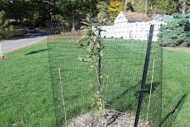 Tree Fence