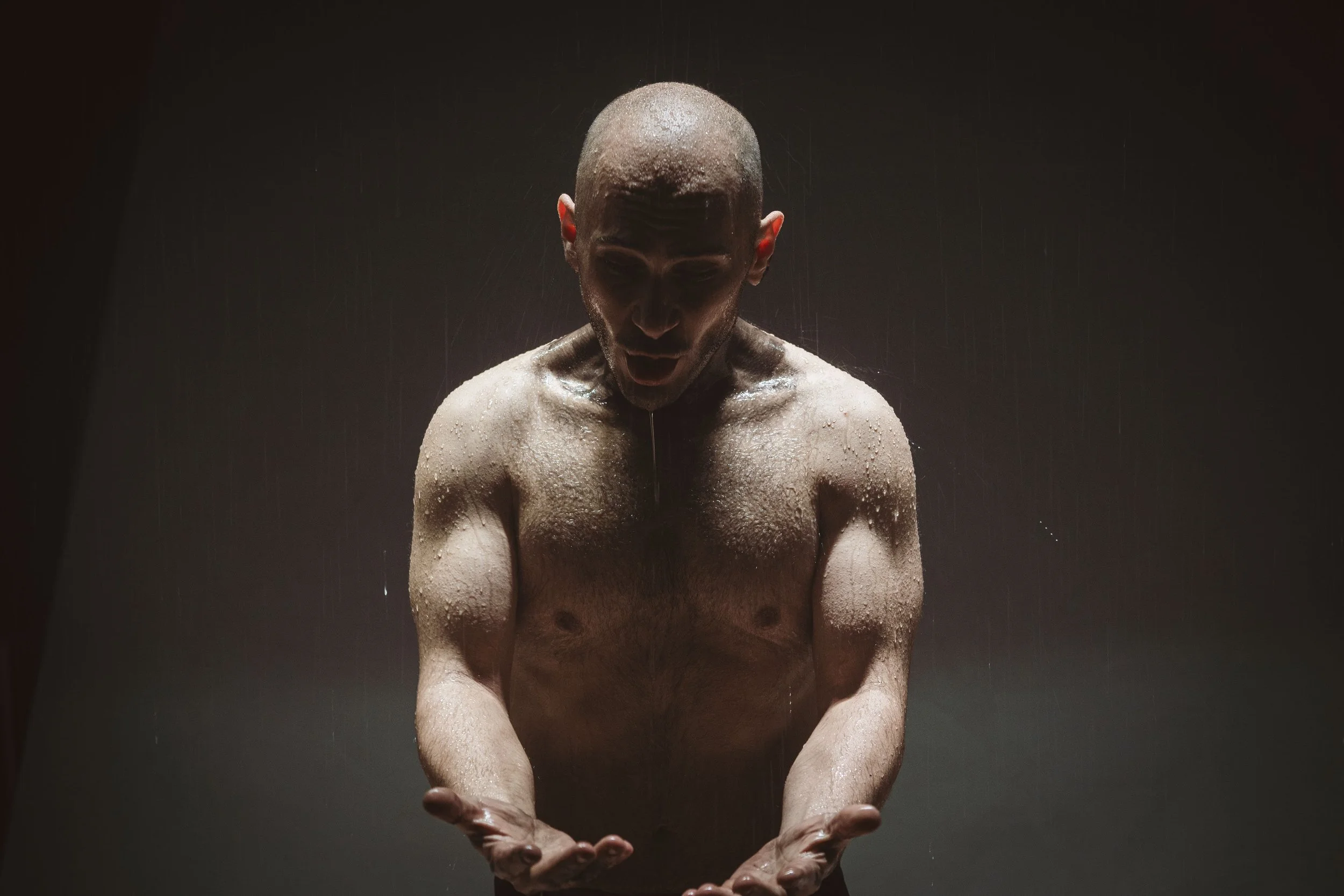 Asprodentro_Aylostudio_0076.jpg