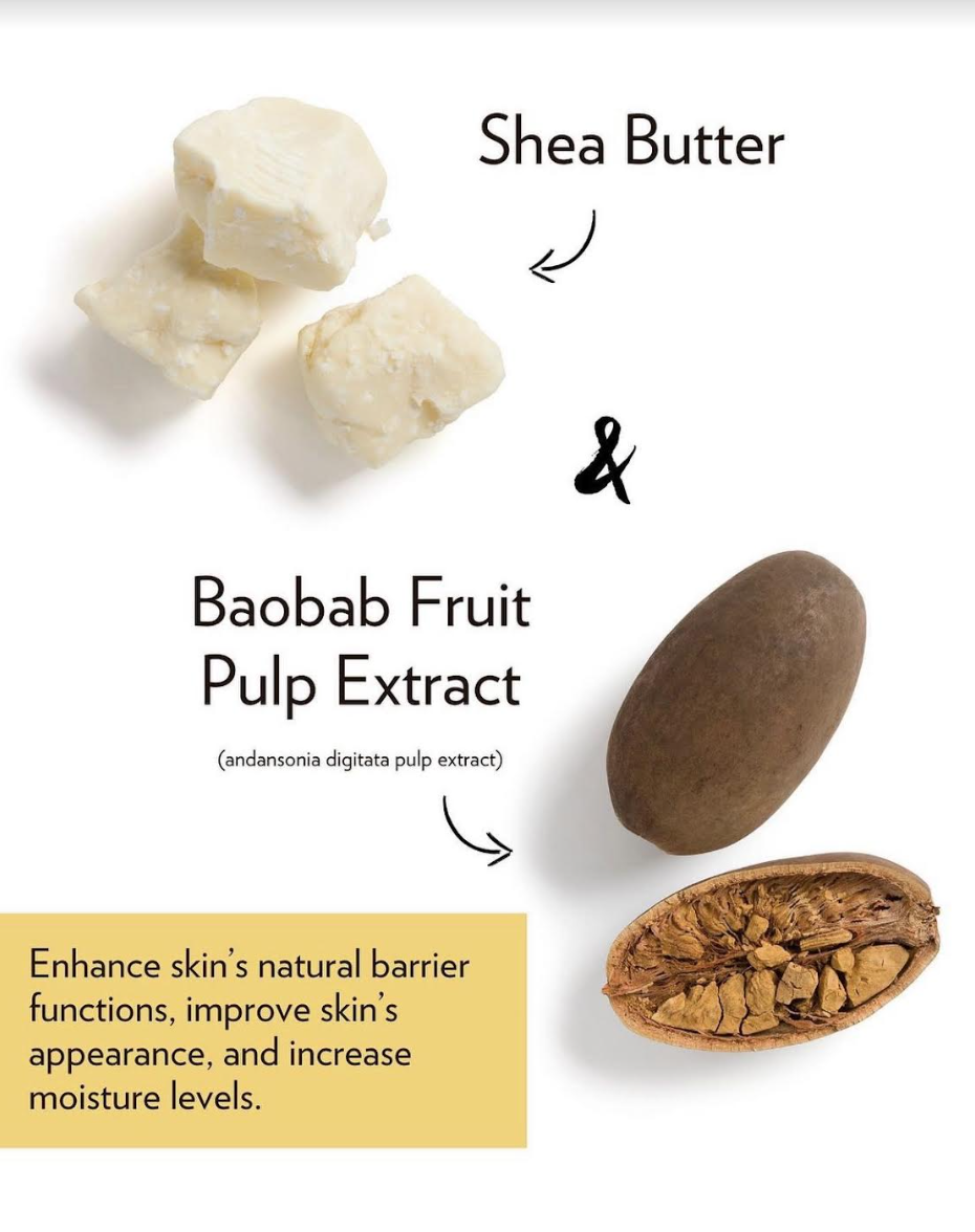 What Powers Epoch Baobab Body Butter — Nu Skin Now