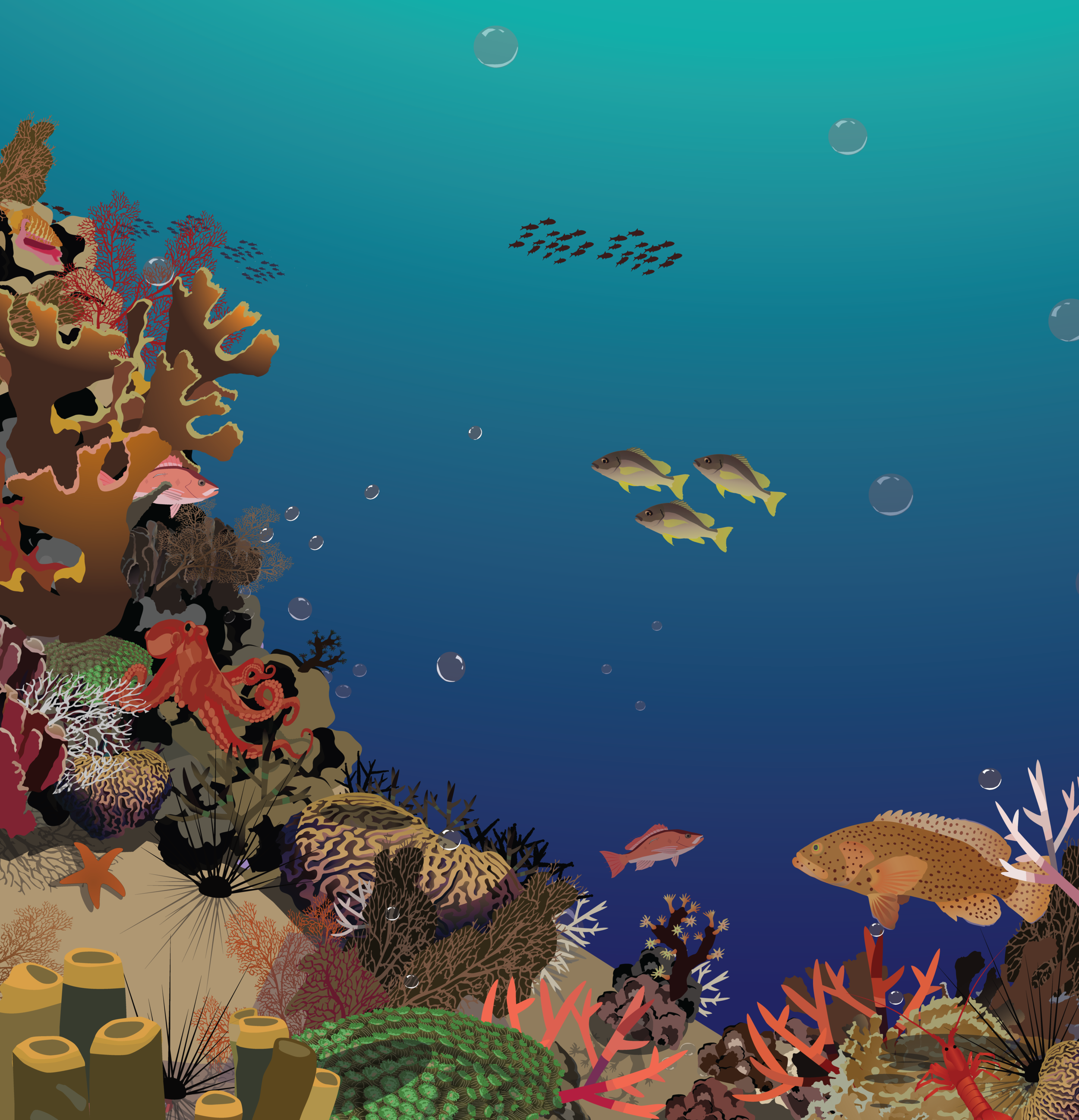 Max Reef Zoom Jan 7 (shadows) copy-01.png