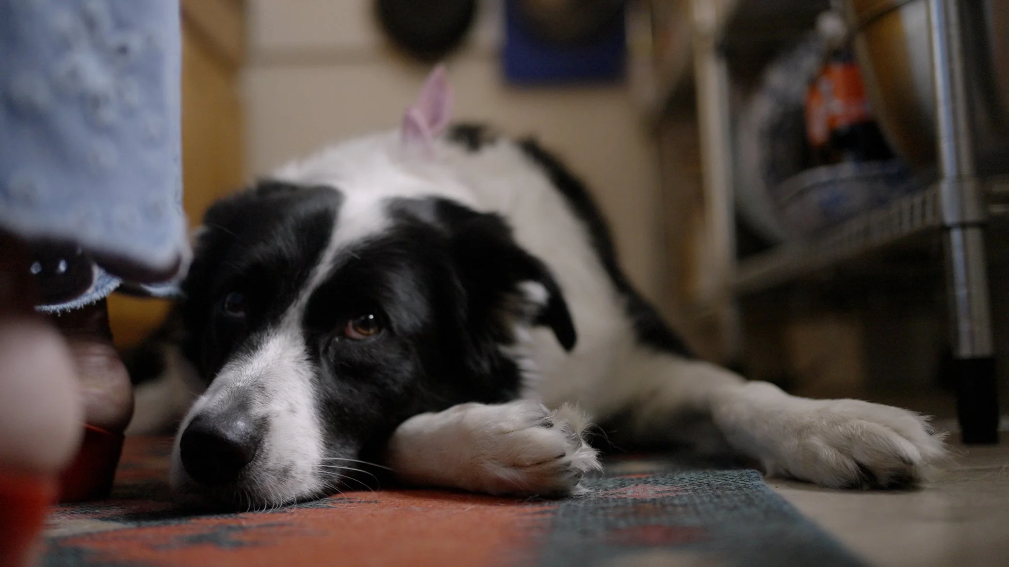 A Slice of Home_Still-8.jpg