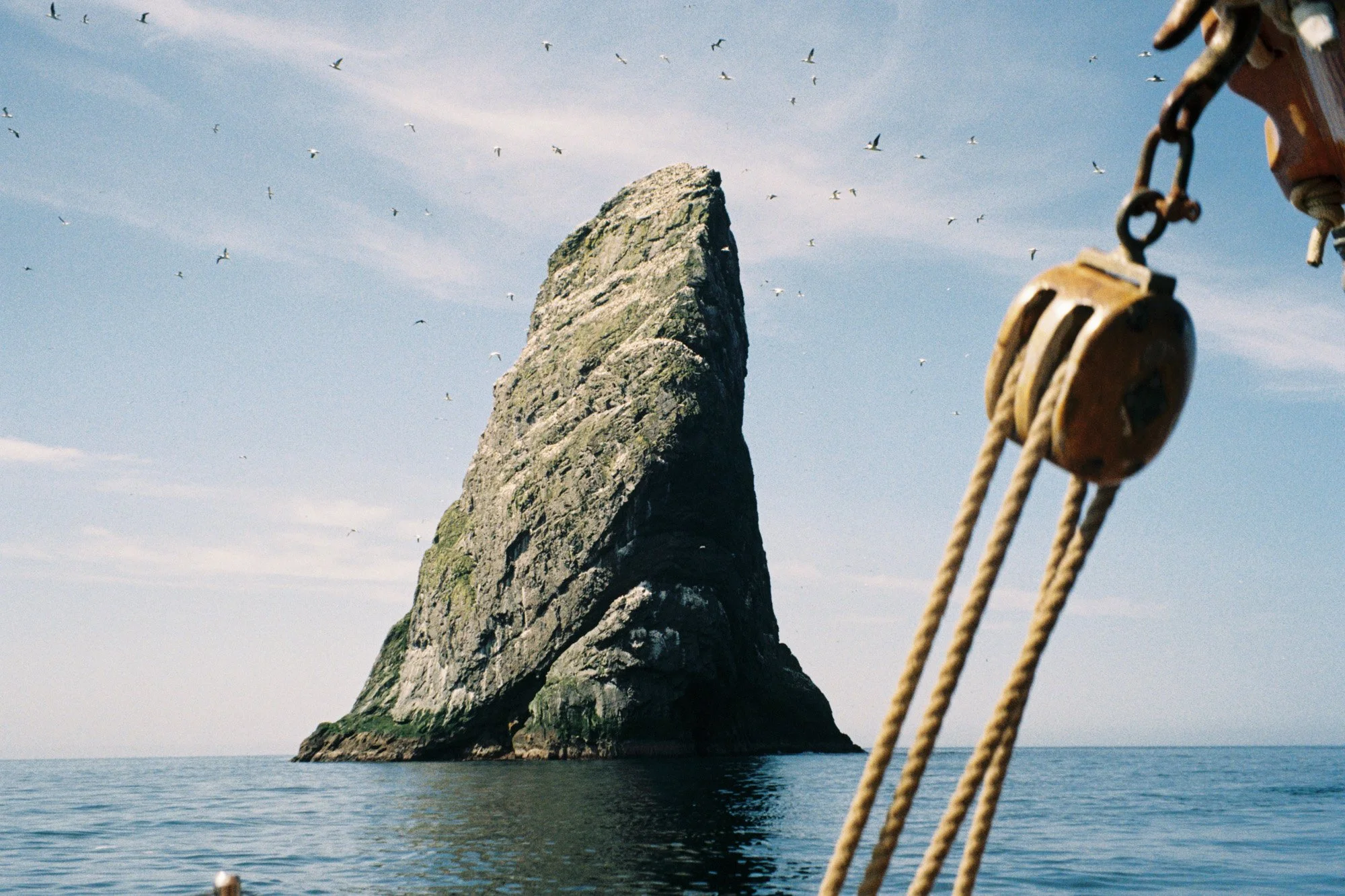 35mm2026-25-2.jpg