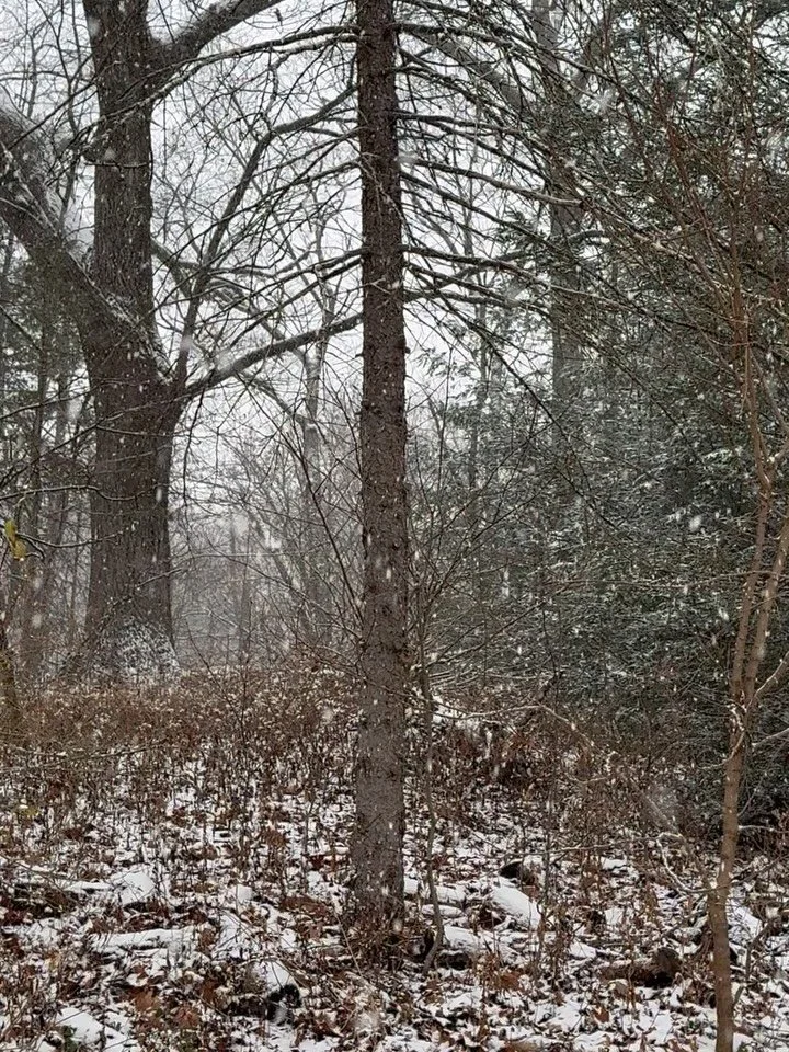 First snow day ❄️ It just started snowing, but we&rsquo;re already outside. I don&rsquo;t think we&rsquo;re supposed to get much, maybe 2-4&rdquo;, but we&rsquo;ll take it!