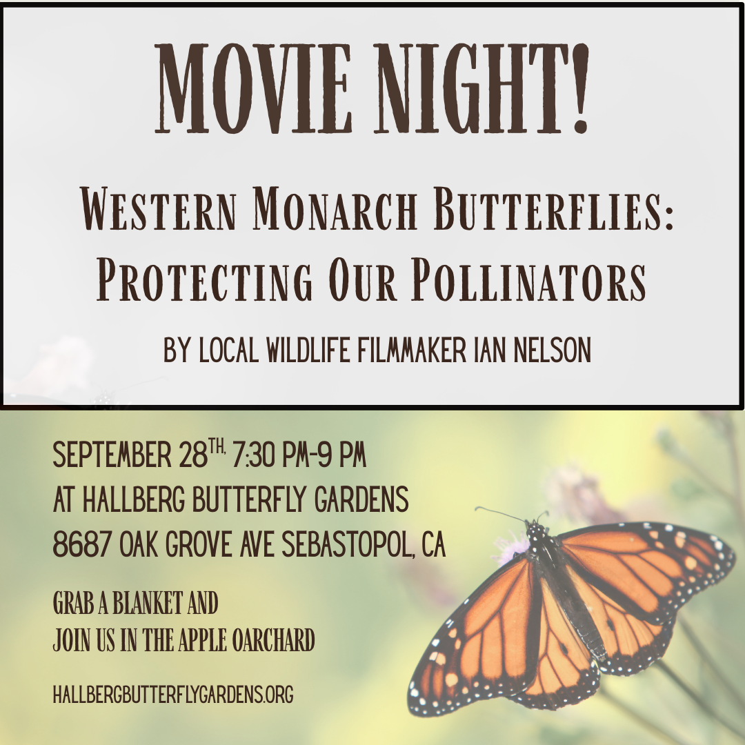 Movie Night - Western Monarch Butterflies: Protecting Our Pollinators.