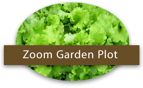 Zoom Garden Plot