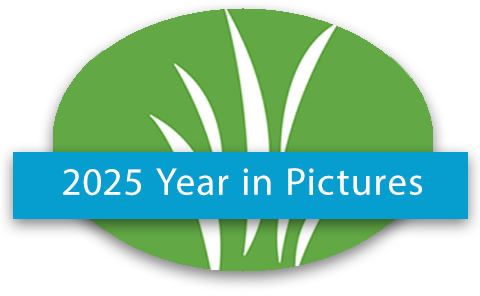 2025 Year in Pictures