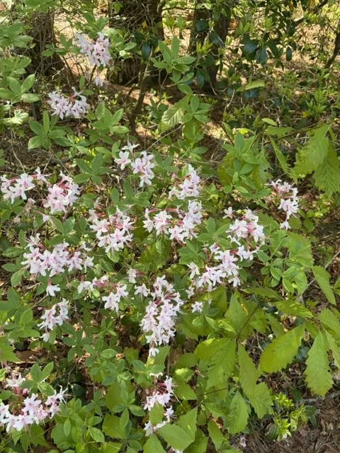 image8.jpeg