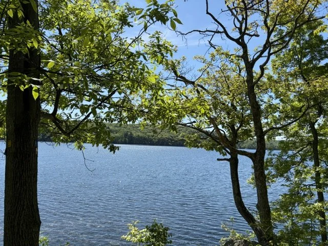 image9.jpeg