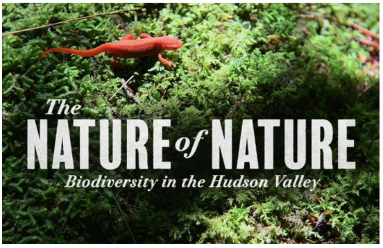 OCLT - The Nature of Nature: Film Screening and Panel Discussion