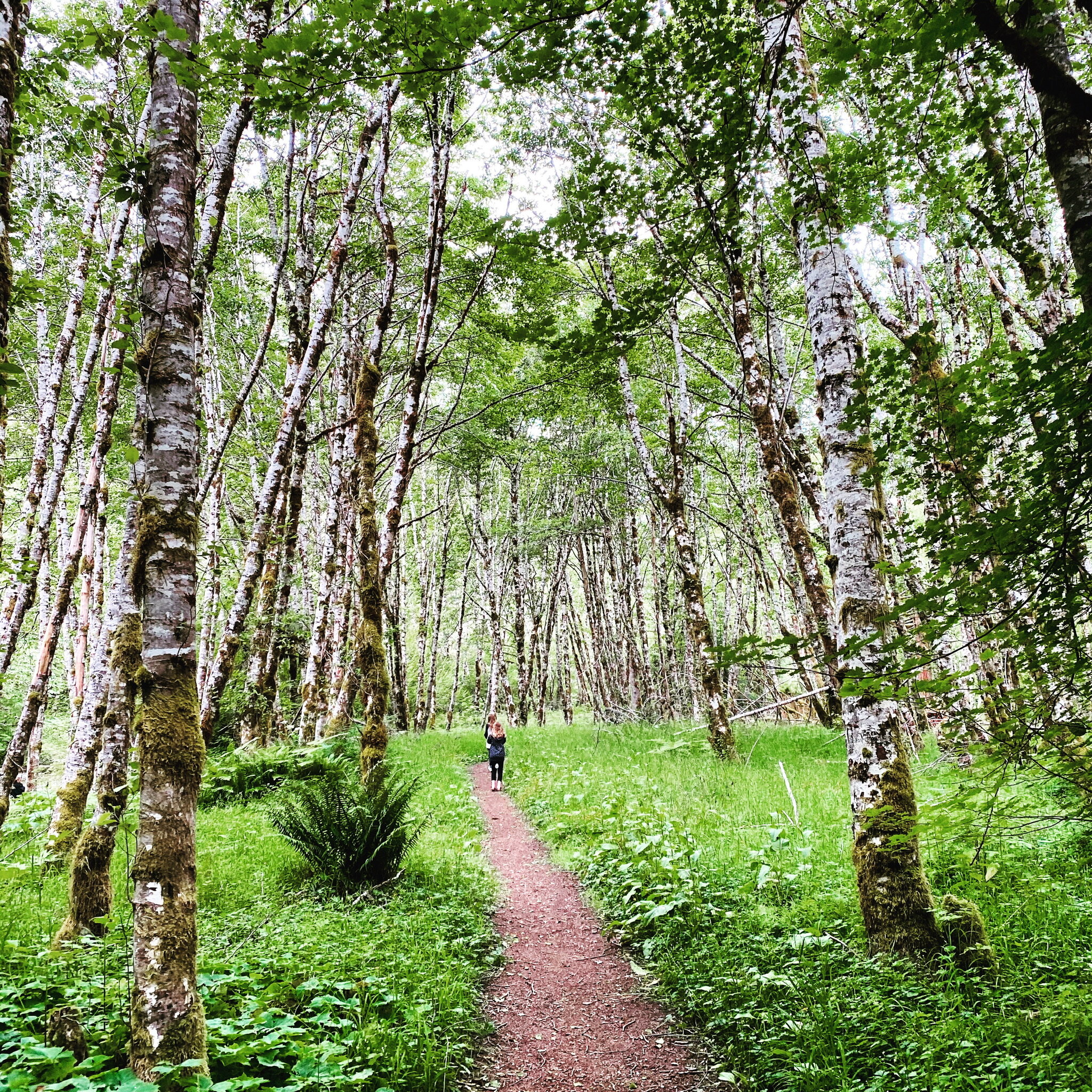 Your Child Is Not Broken