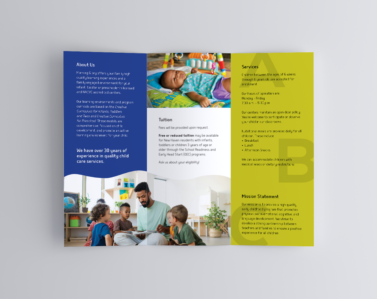 Tri Fold Brochure MockUp 2024.png