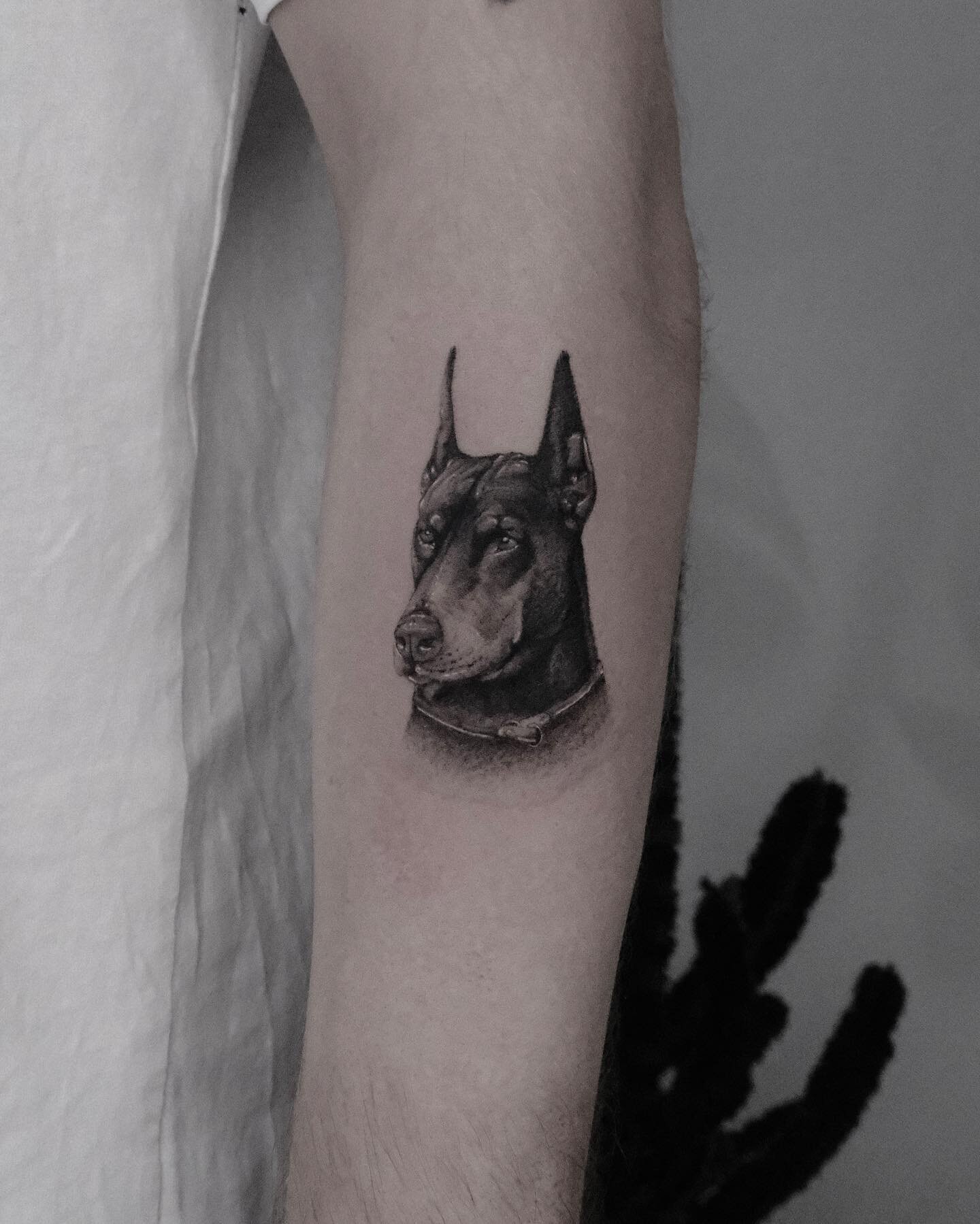 His name is &bdquo;Batman&ldquo; 🦇 thank you as always brother ❤️ @_est_1990_ 
.
.
WWW.DANUVUE.COM for appointments. 
.
.
#danuvue #tattoomunich #ink #doberman #dogsofinstagram #realistictattoo #smalltattoo #finelinetattoo #portraittattoo