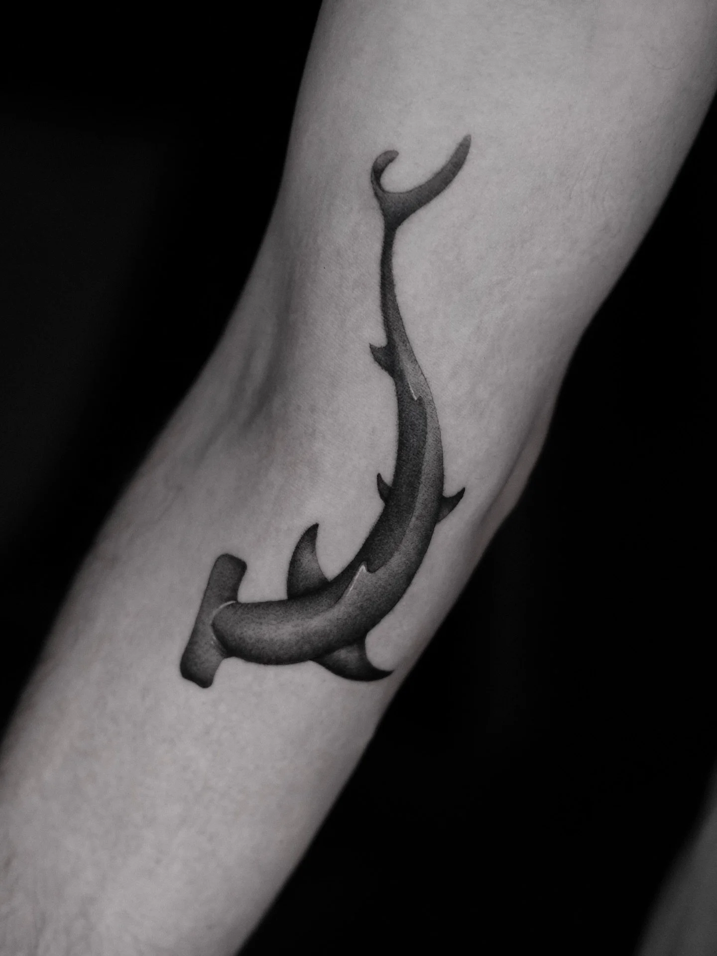 The hammerhead sharks are a group of sharks that form the family Sphyrnidae, named for the unusual and distinctive form of their heads, which are flattened and laterally extended into a cephalofoil (a T-shape or &bdquo;hammer&ldquo;). The shark&rsquo