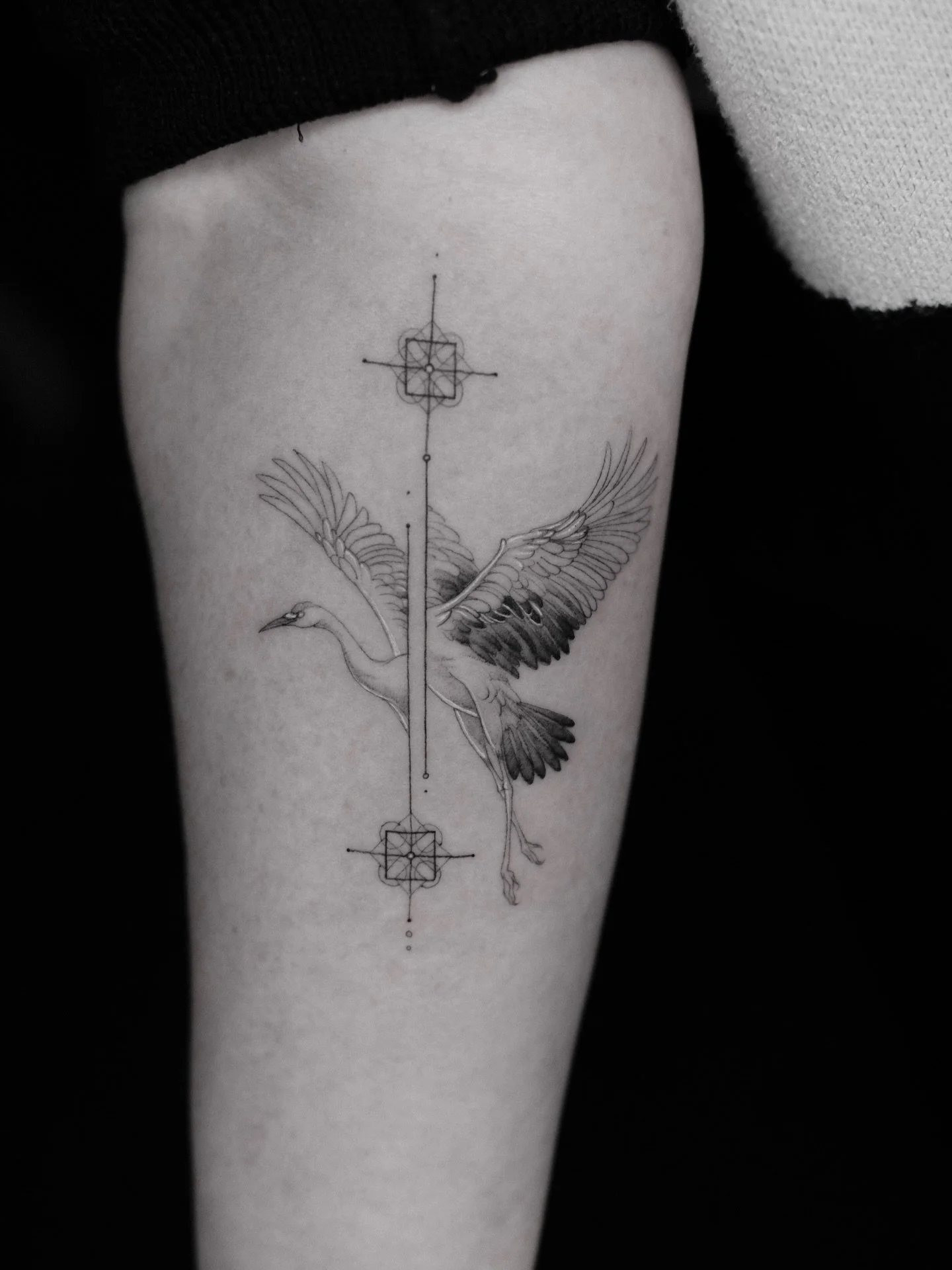 Open bookings, last spots march and April 
Thank you so much for your trust! 
.
www.danuvue.com
.
Feel free and send me your request